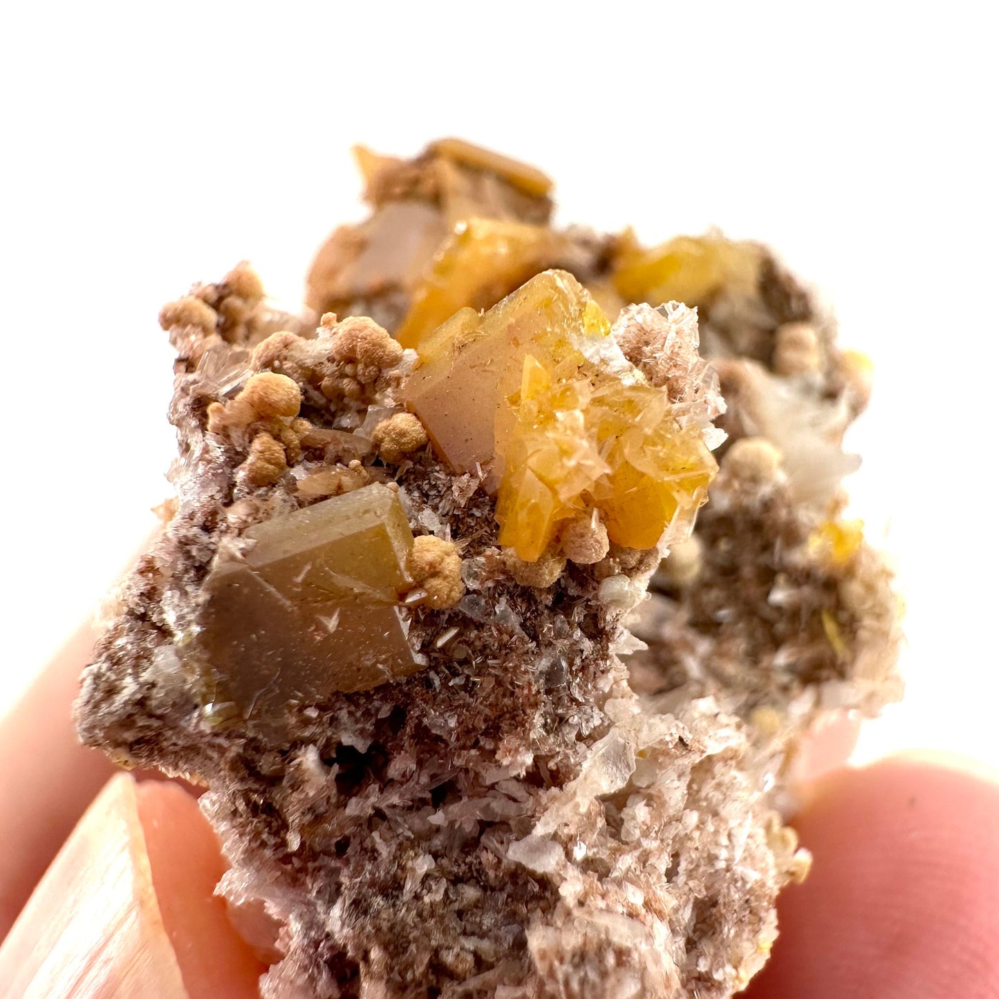Wulfenite with Mimetite (Mexico), raw wulfenite, yellow wulfenite, wulfenite on matrix, mimetite, mineral specimen
