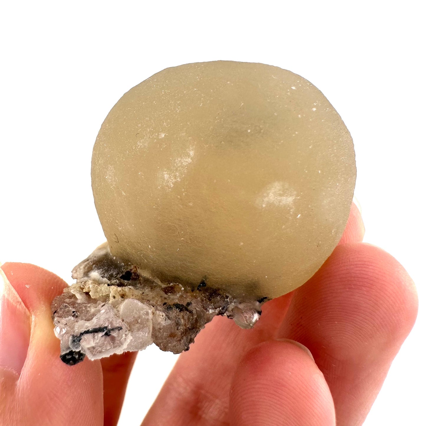 Yellow Botryoidal Fluorite on Quartz (India) | fried egg crystal, egg fluorite, fluorite crystal, mineral specimen, yellow fluorite