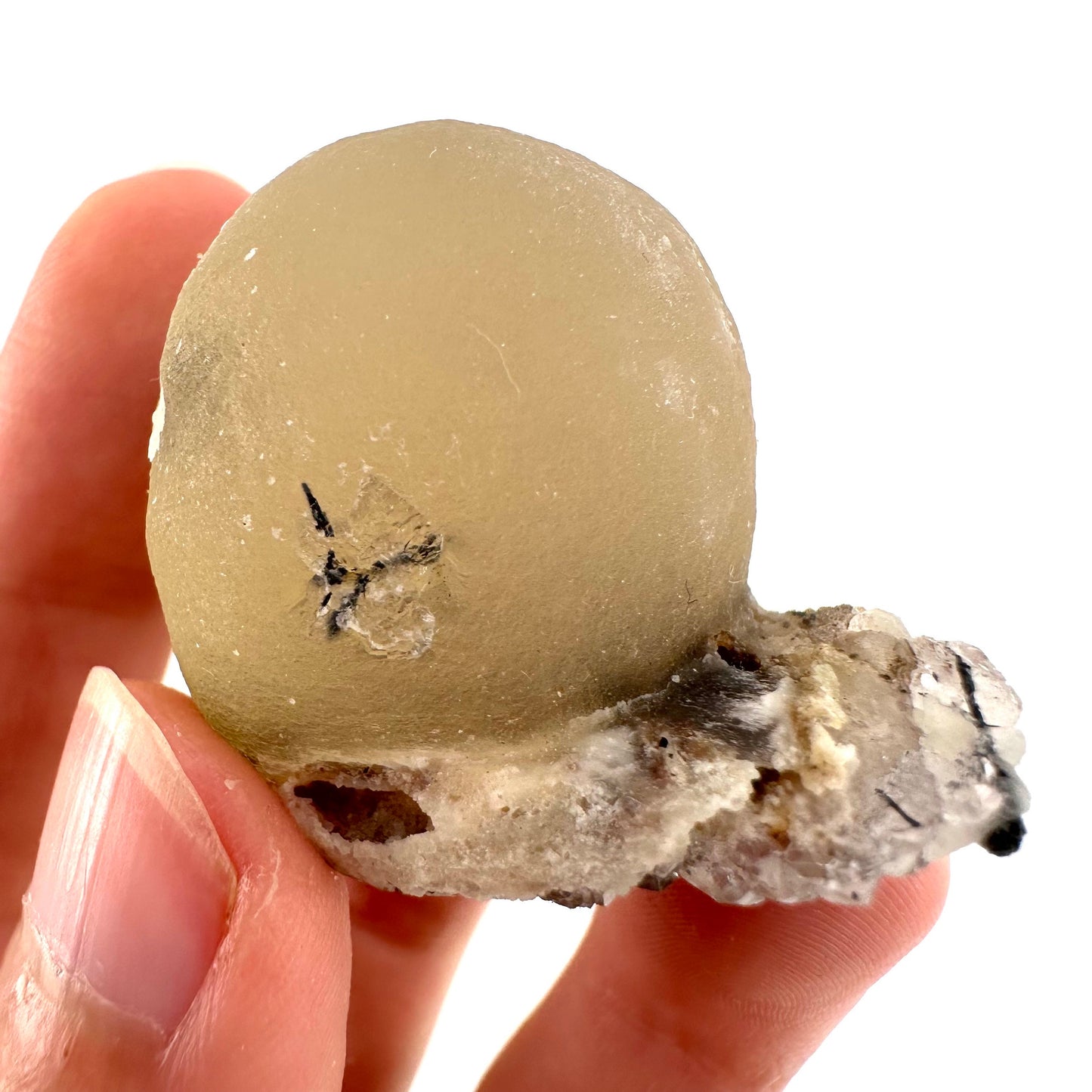 Yellow Botryoidal Fluorite on Quartz (India) | fried egg crystal, egg fluorite, fluorite crystal, mineral specimen, yellow fluorite
