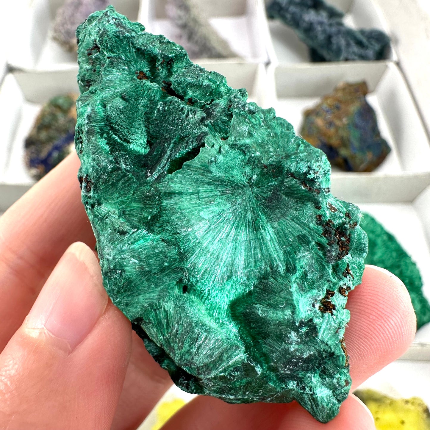12pcs Wholesale Mixed Minerals, wholesale crystals, velvet malachite, azurite, brucite crystal, bulk crystals, crystal tray
