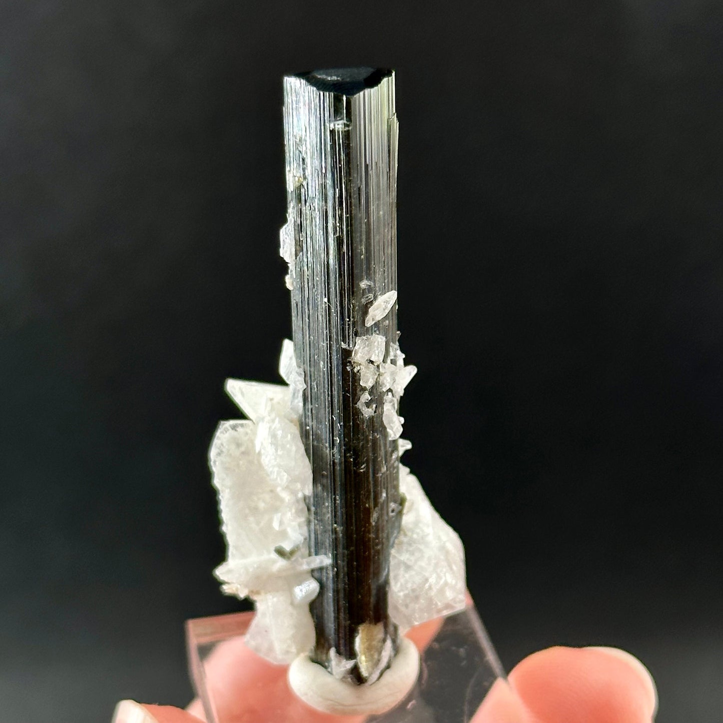 Green Cap Tourmaline with Albite (Pakistan) | raw tourmaline, green tourmaline, tourmaline crystal, rare minerals, rare crystals