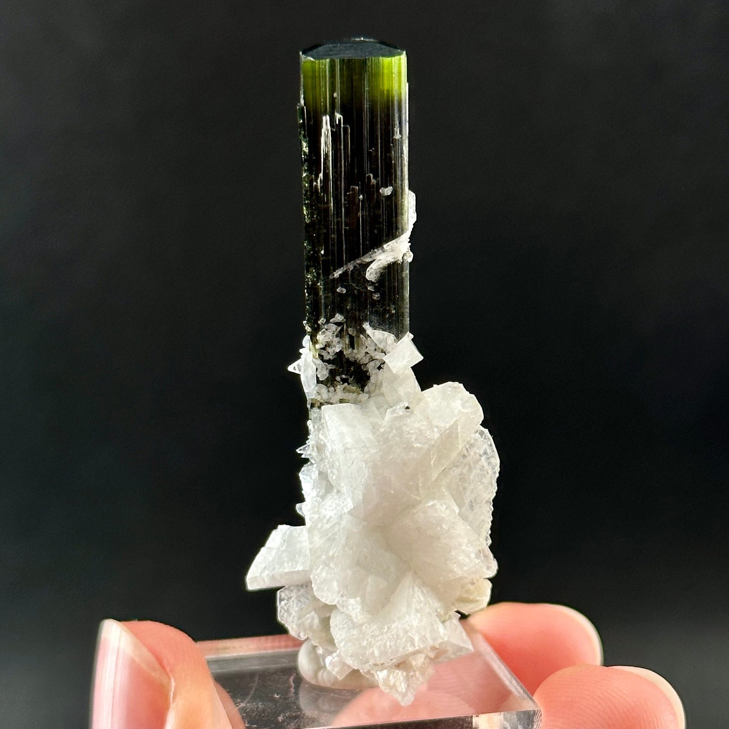 Green Cap Tourmaline with Albite (Pakistan) | raw tourmaline, green tourmaline, tourmaline crystal, rare minerals, rare crystals