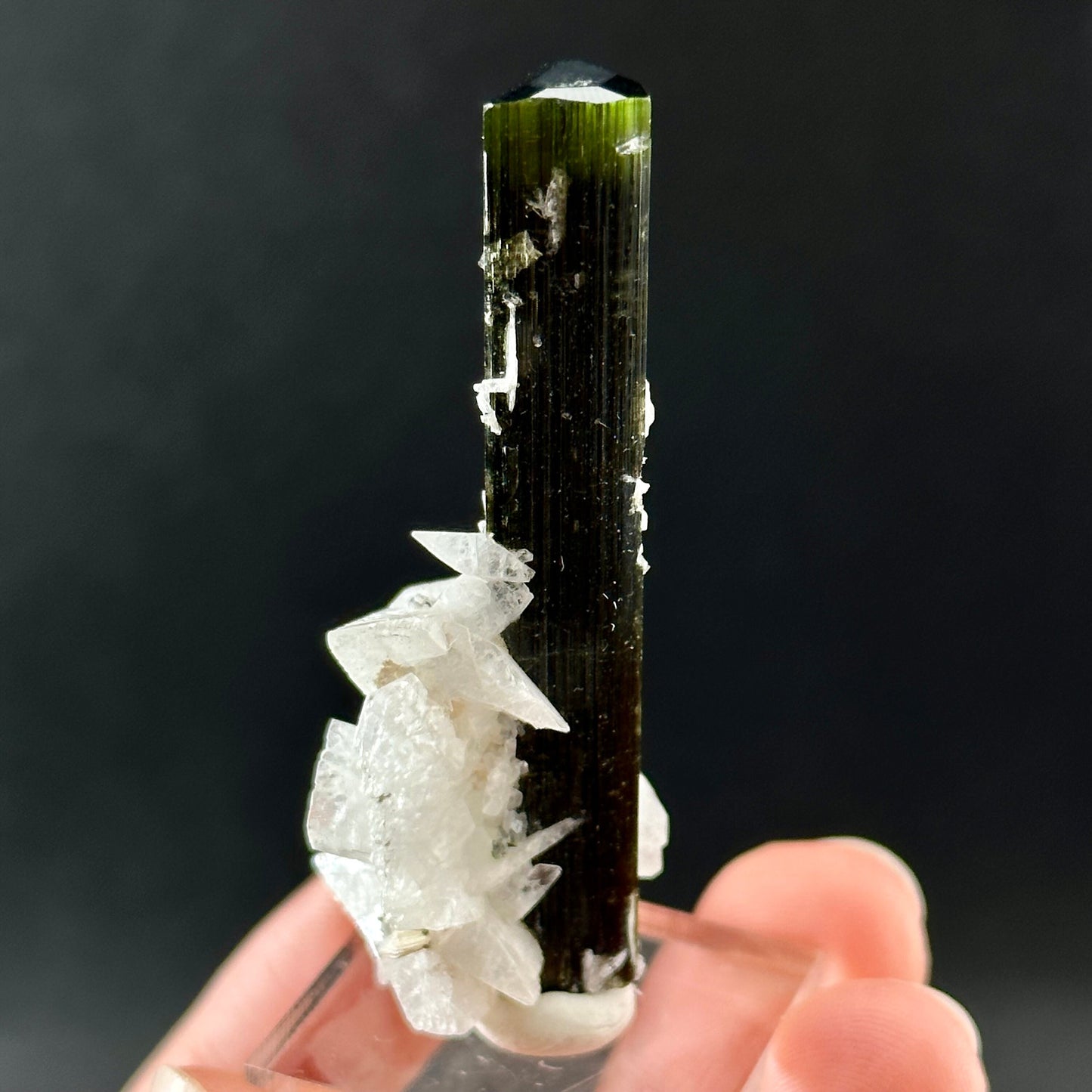 Green Cap Tourmaline with Albite (Pakistan) | raw tourmaline, green tourmaline, tourmaline crystal, rare minerals, rare crystals