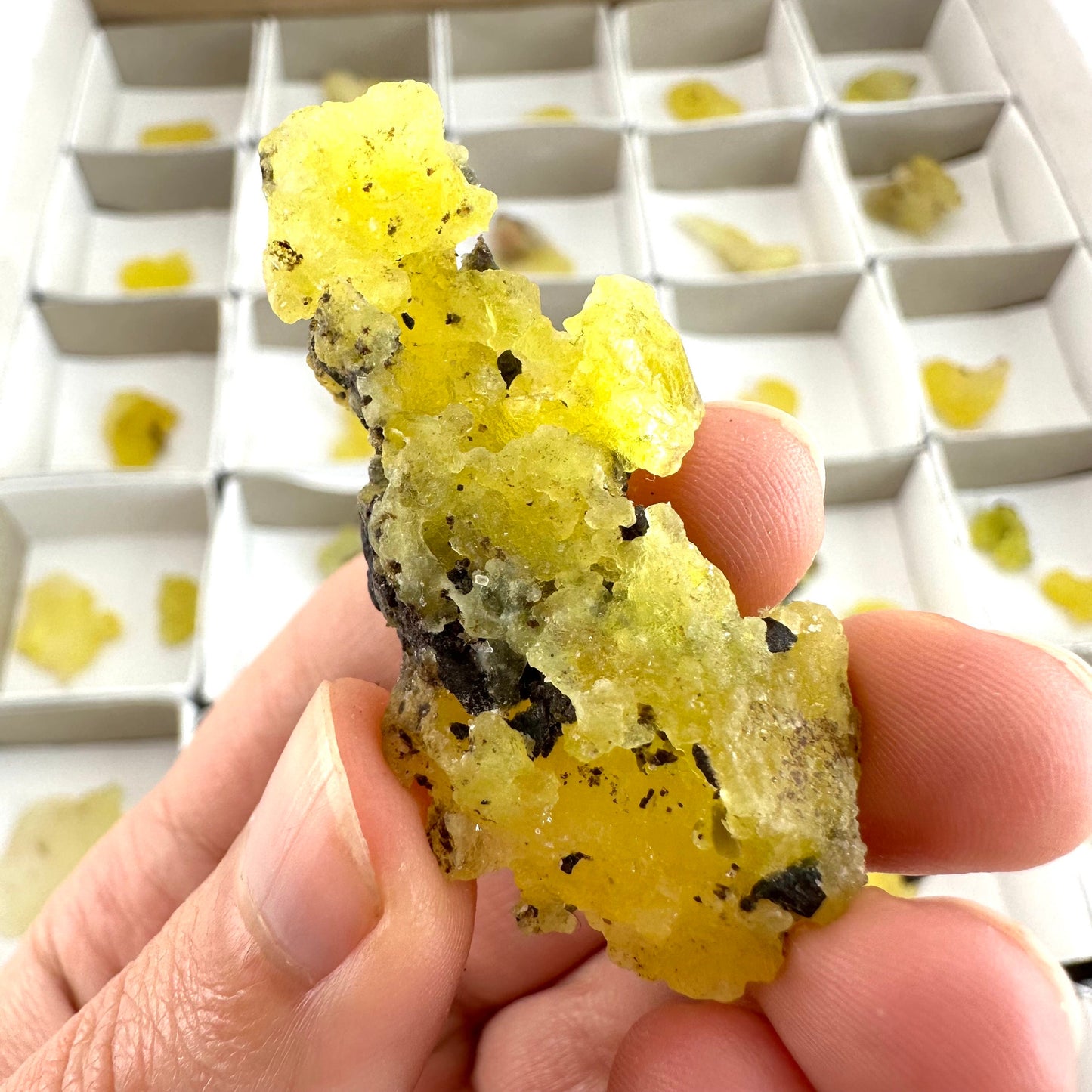 45pcs Yellow Brucite Wholesale | yellow brucite specimen, raw brucite, yellow brucite crystal, wholesale crystals, bulk crystals