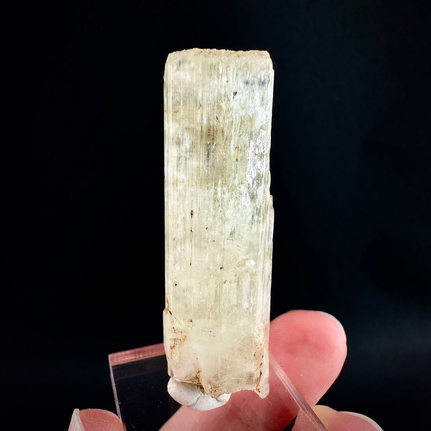 Rare! Spessartine Garnet on Kunzite (Pakistan) | orange garnet on kunzite, kunzite crystal, kunzite specimen, rare crystals, rare minerals