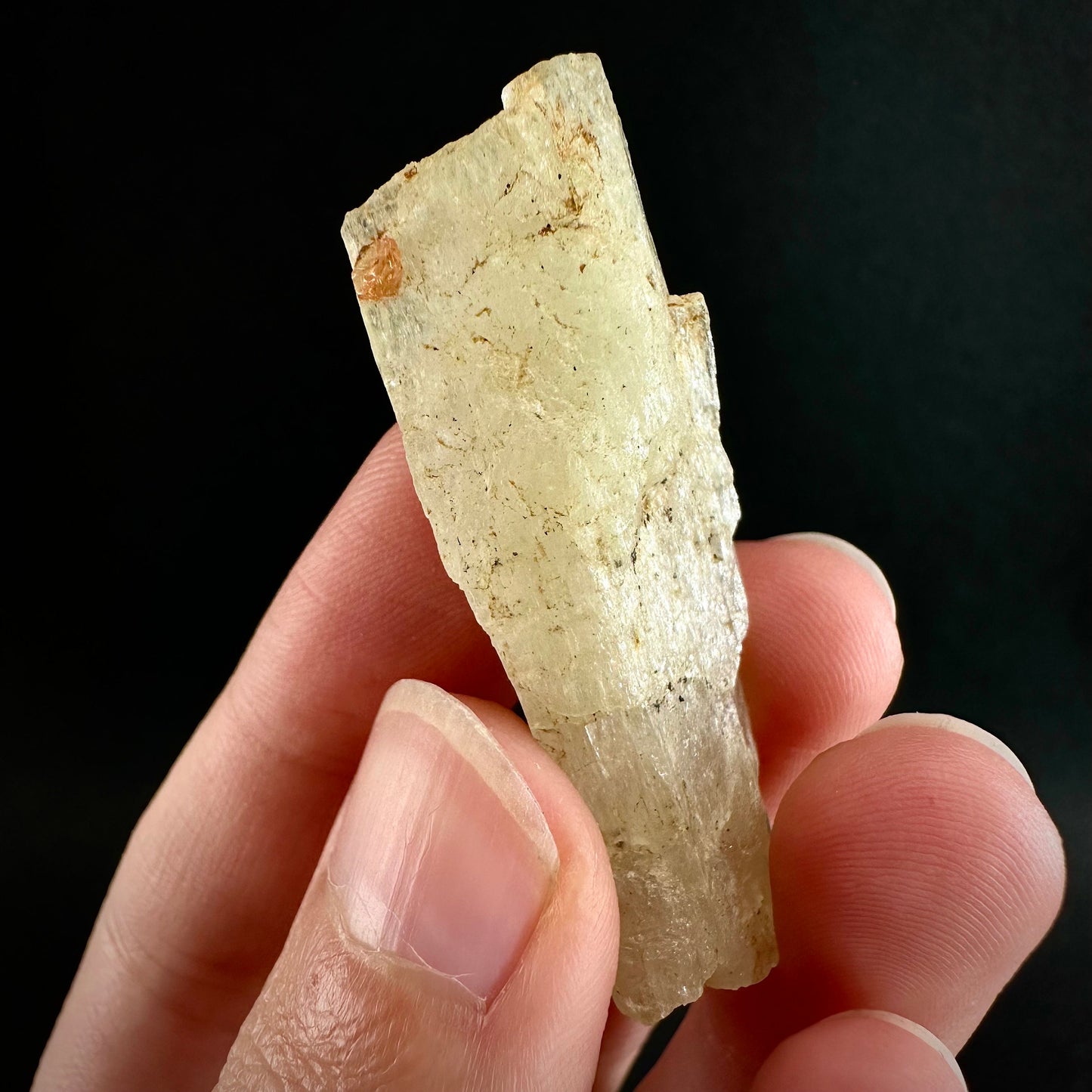 Rare! Spessartine Garnet on Kunzite (Pakistan) | orange garnet on kunzite, kunzite crystal, kunzite specimen, rare crystals, rare minerals