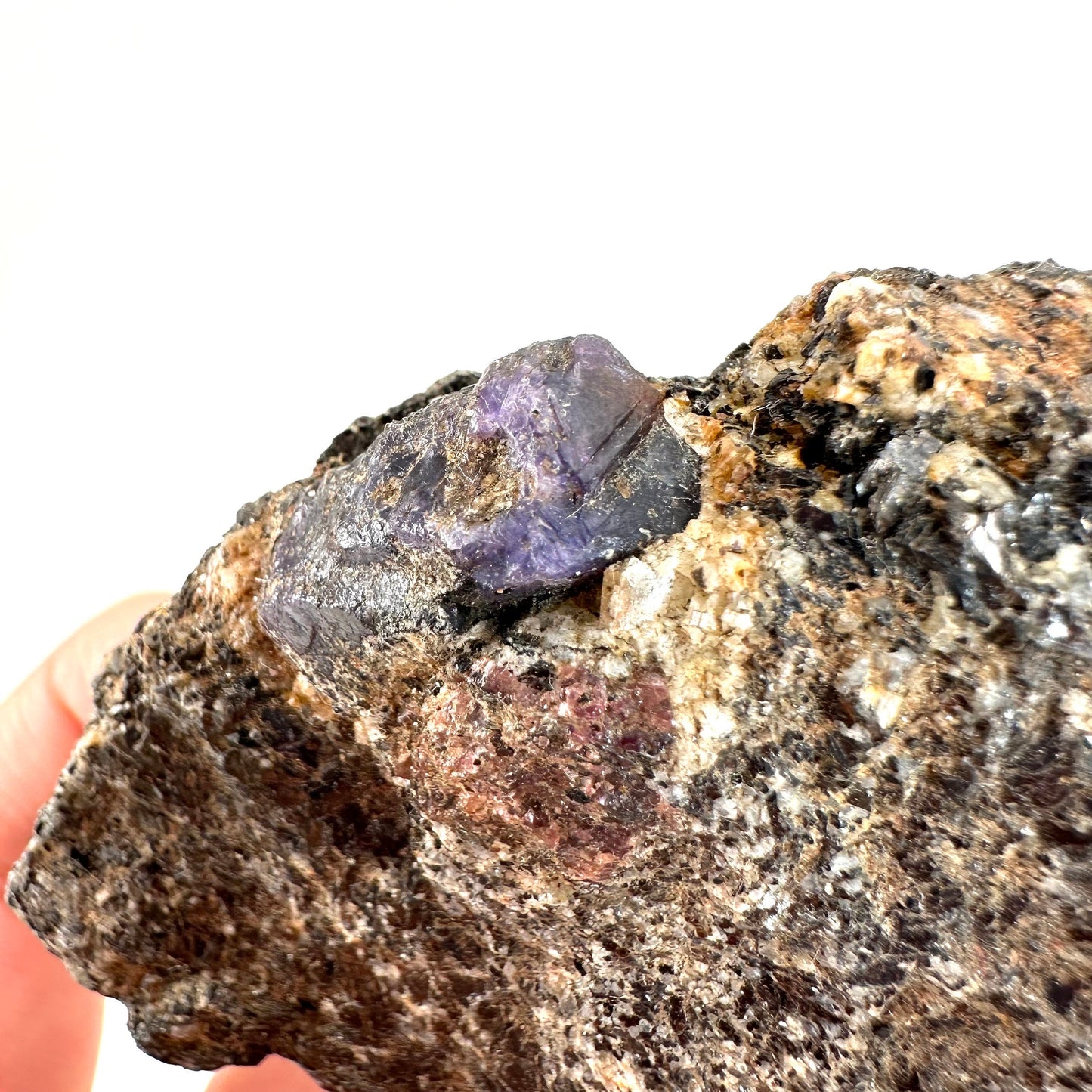 Sapphire on Matrix (Madagascar) | natural blue sapphire, purple sapphire, corundum var. sapphire, mineral specimen, rare crystals