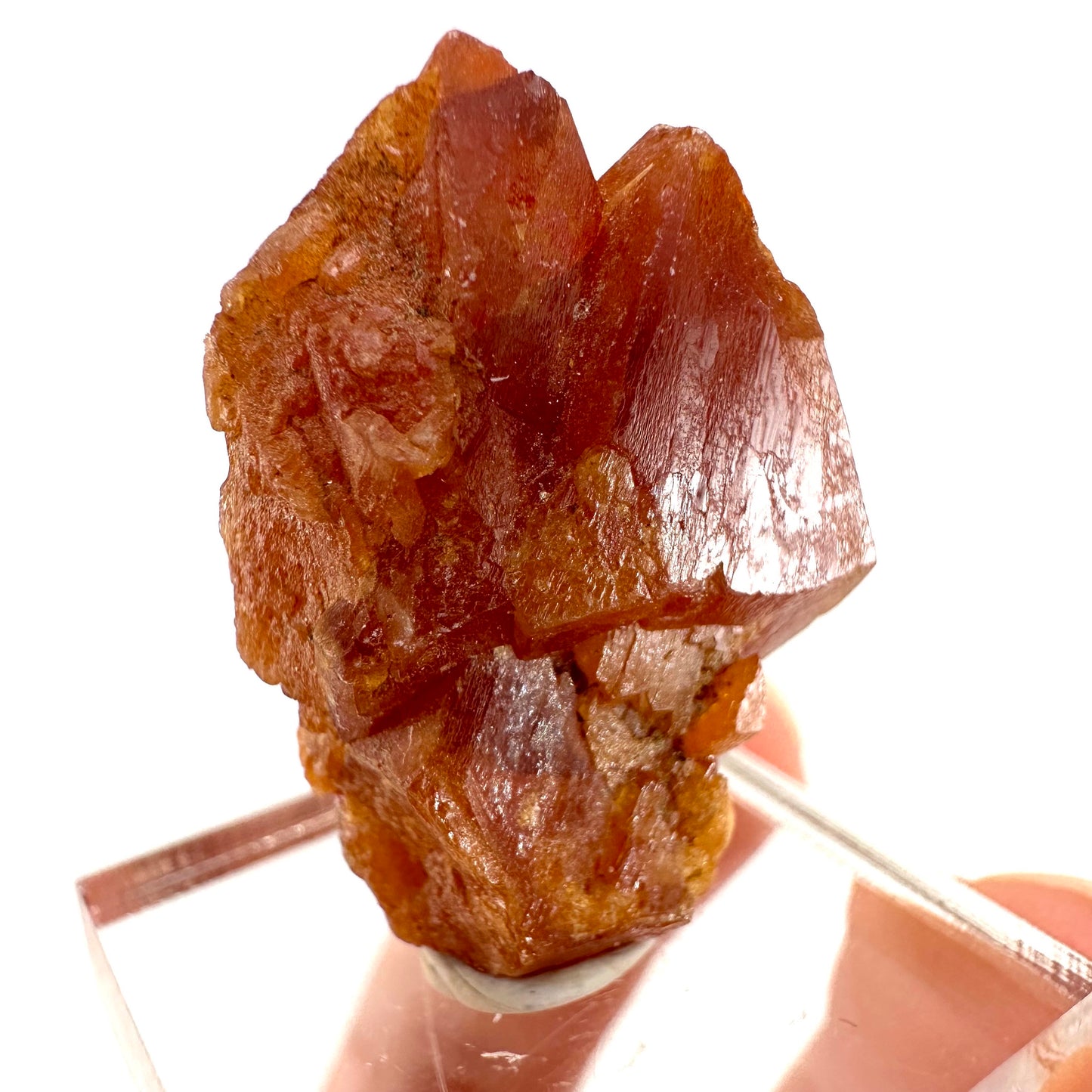 Rare! Scheelite (Pakistan) | natural orange scheelite, raw scheelite, scheelite crystal, natural crystal, mineral specimen, rare crystals