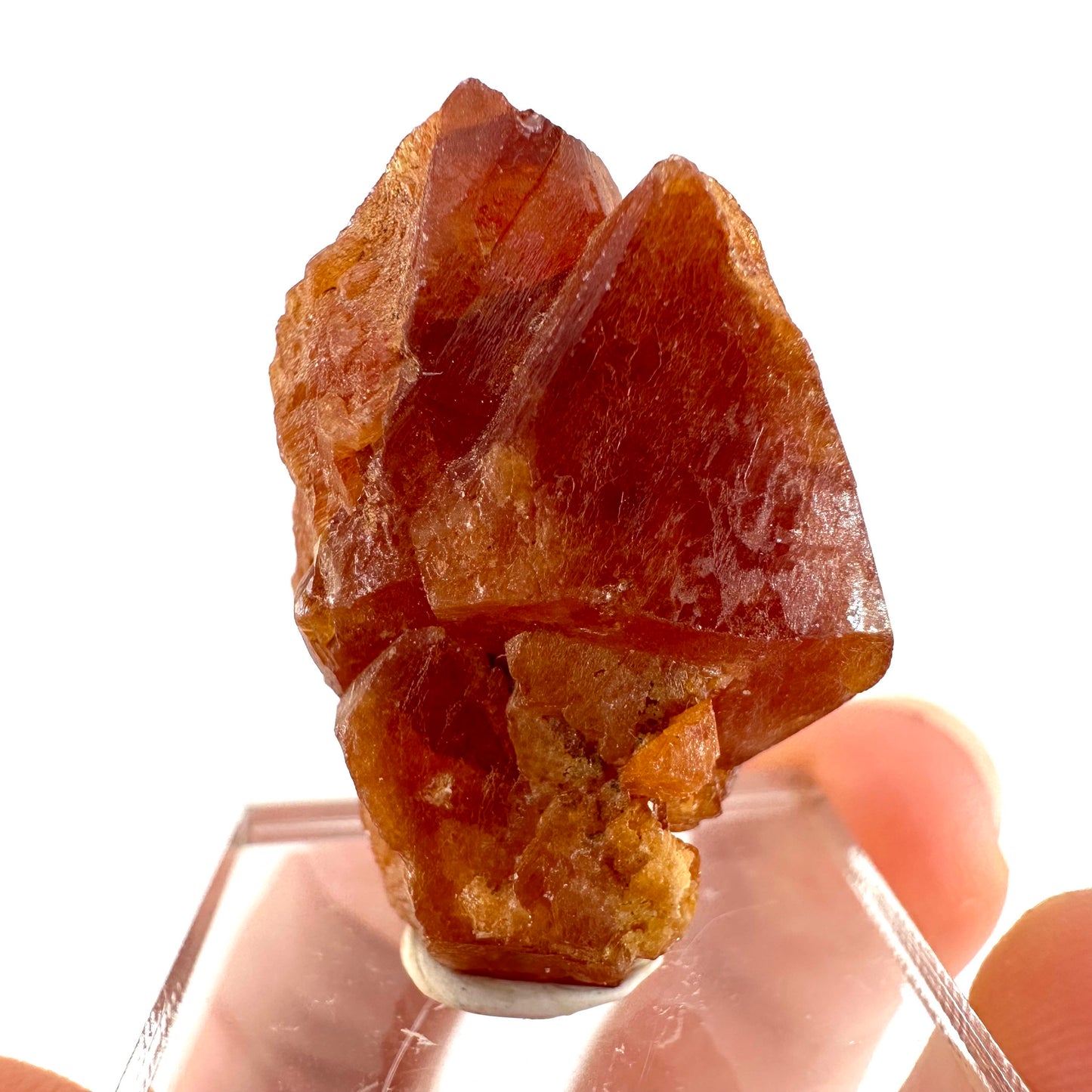 Rare! Scheelite (Pakistan) | natural orange scheelite, raw scheelite, scheelite crystal, natural crystal, mineral specimen, rare crystals