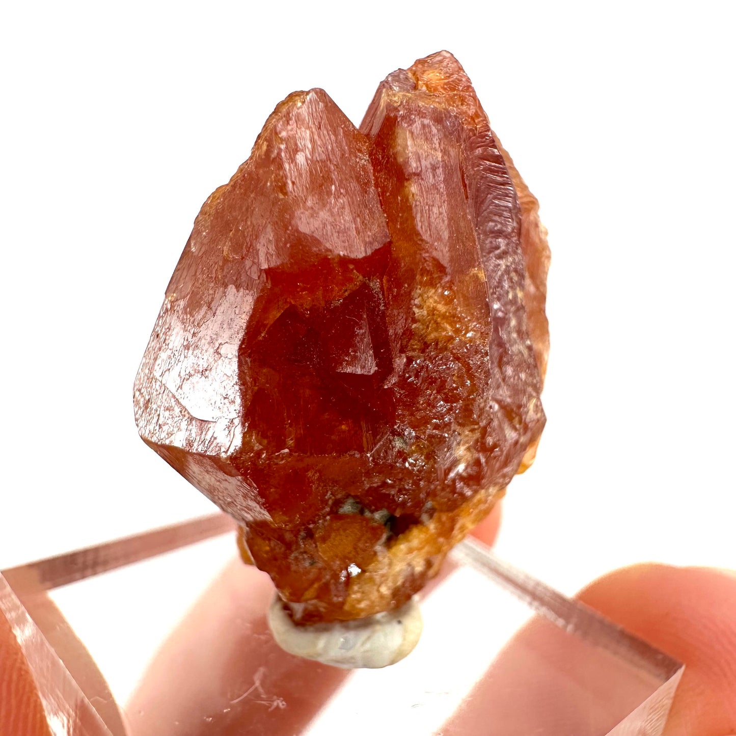 Rare! Scheelite (Pakistan) | natural orange scheelite, raw scheelite, scheelite crystal, natural crystal, mineral specimen, rare crystals