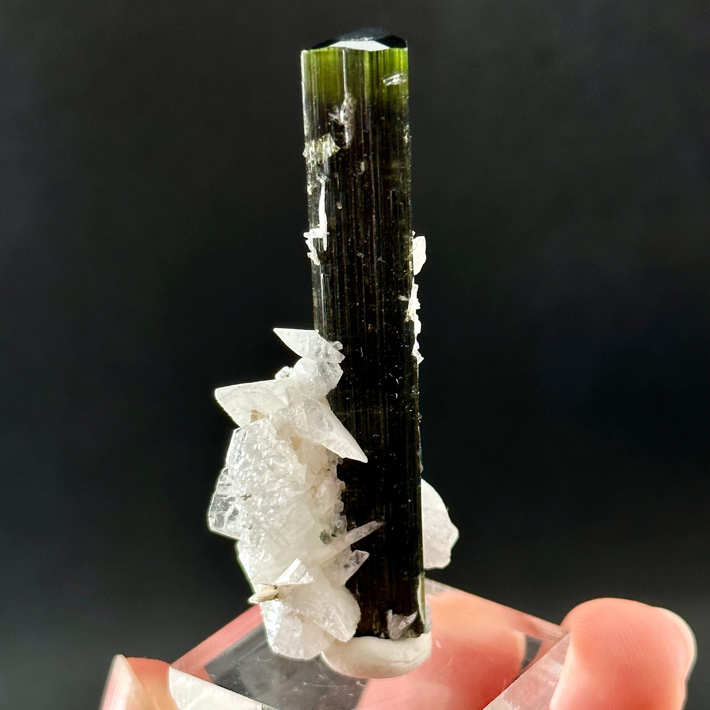 Green Cap Tourmaline with Albite (Pakistan) | raw tourmaline, green tourmaline, tourmaline crystal, rare minerals, rare crystals