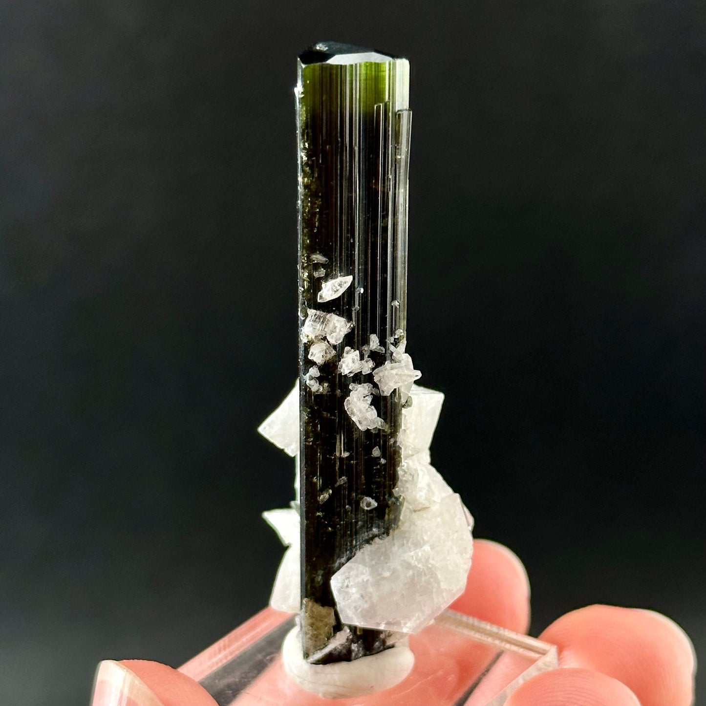 Green Cap Tourmaline with Albite (Pakistan) | raw tourmaline, green tourmaline, tourmaline crystal, rare minerals, rare crystals