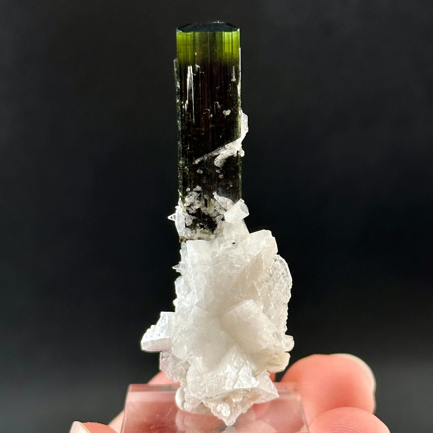 Green Cap Tourmaline with Albite (Pakistan) | raw tourmaline, green tourmaline, tourmaline crystal, rare minerals, rare crystals