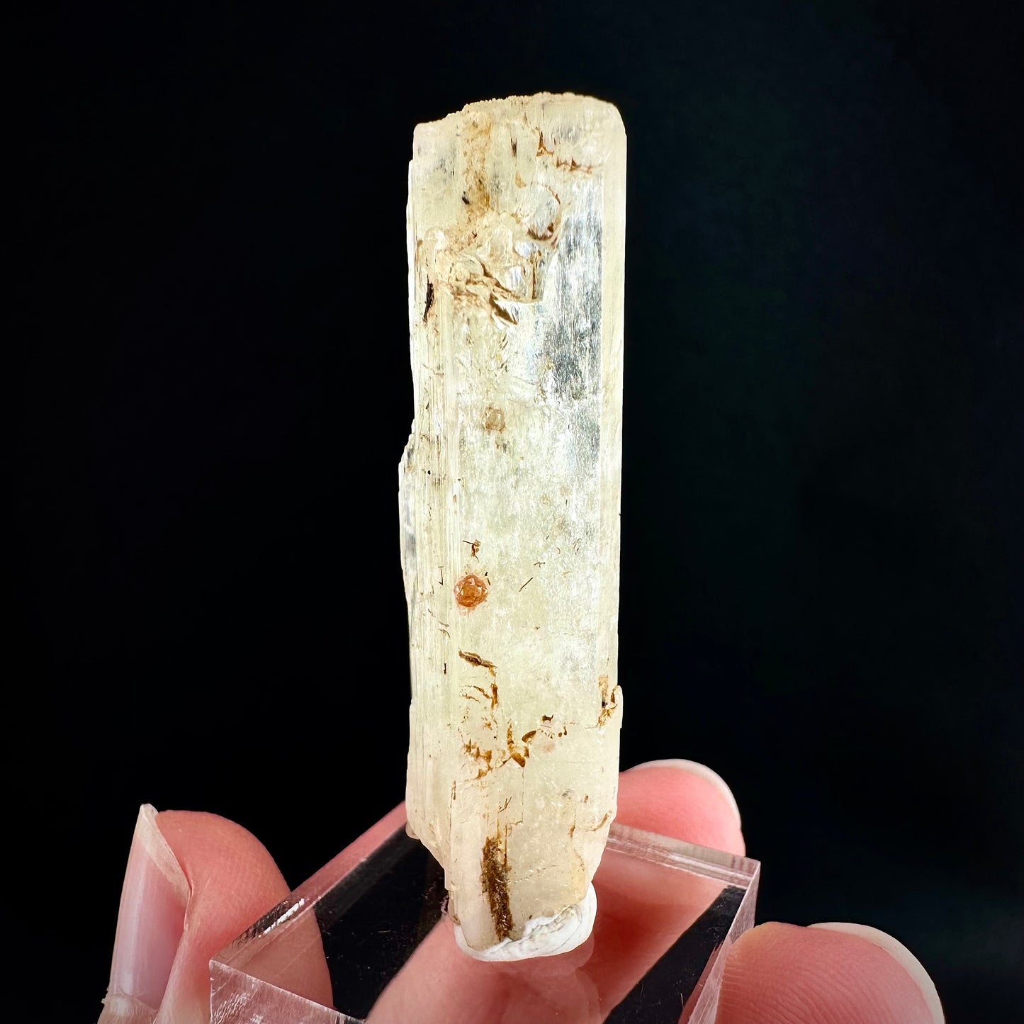 Rare! Spessartine Garnet on Kunzite (Pakistan) | orange garnet on kunzite, kunzite crystal, kunzite specimen, rare crystals, rare minerals