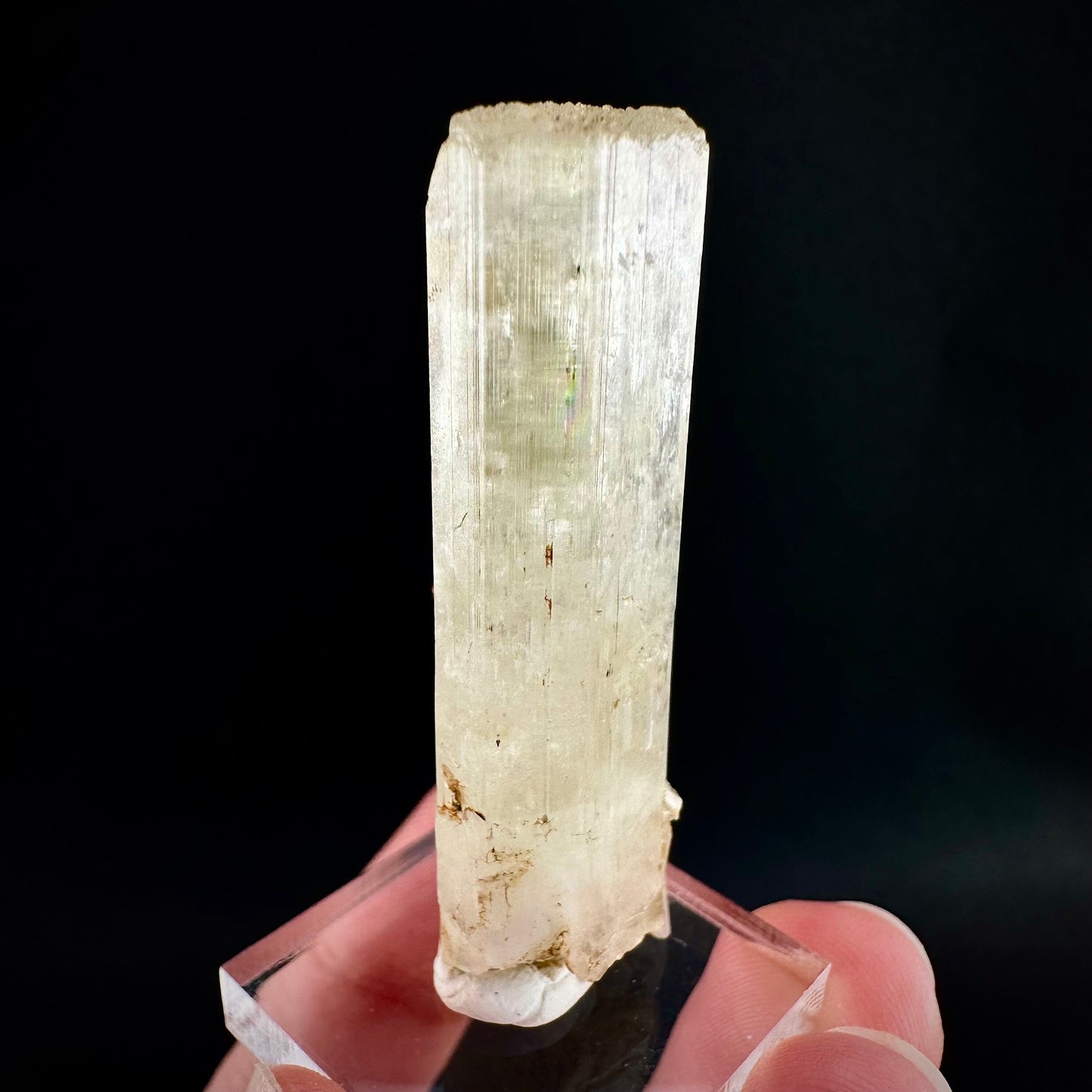 Rare! Spessartine Garnet on Kunzite (Pakistan) | orange garnet on kunzite, kunzite crystal, kunzite specimen, rare crystals, rare minerals