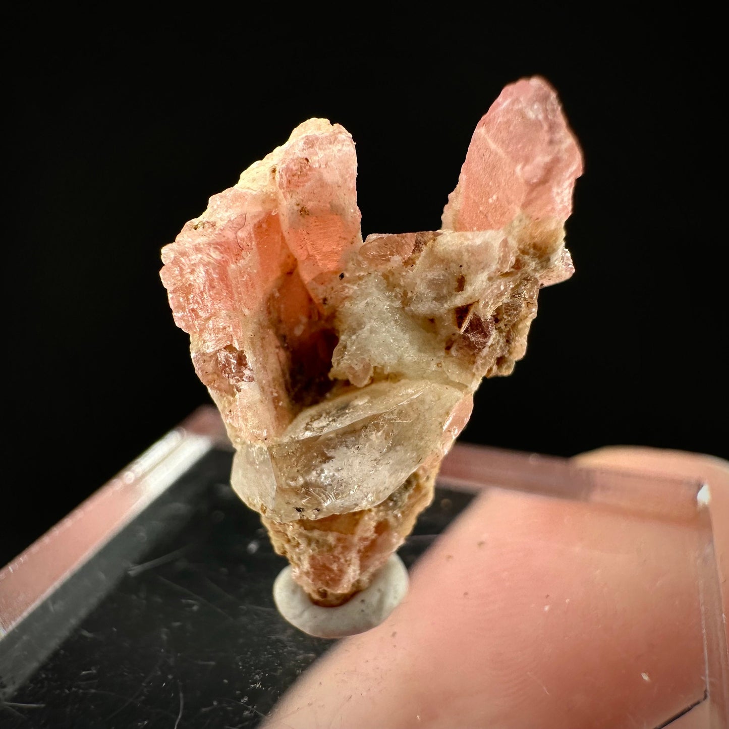 Rare! Vayrynenite with Quartz (Pakistan) | vayrynenite crystal, rare crystals, mineral specimen, rare minerals, natural vayrynenite