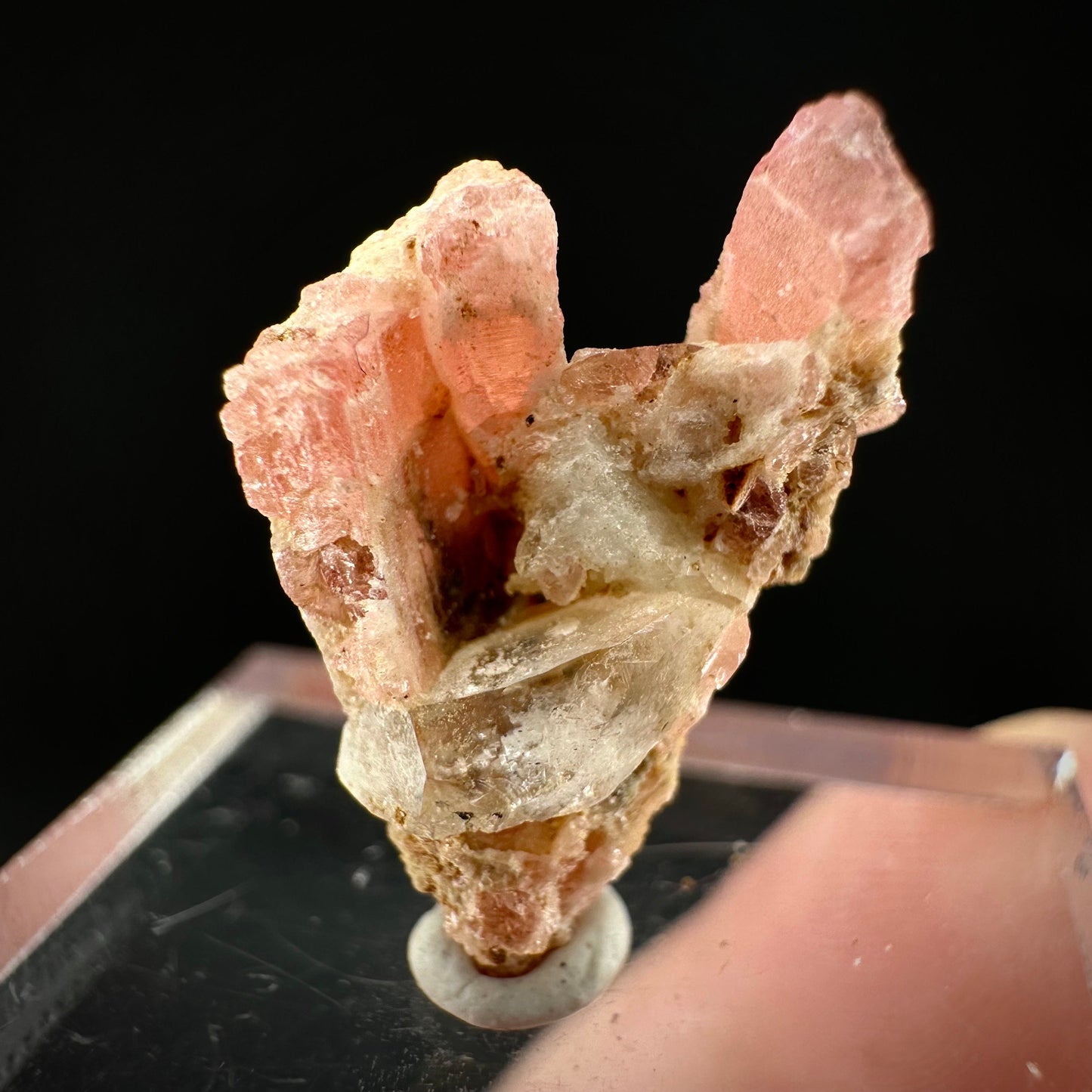 Rare! Vayrynenite with Quartz (Pakistan) | vayrynenite crystal, rare crystals, mineral specimen, rare minerals, natural vayrynenite