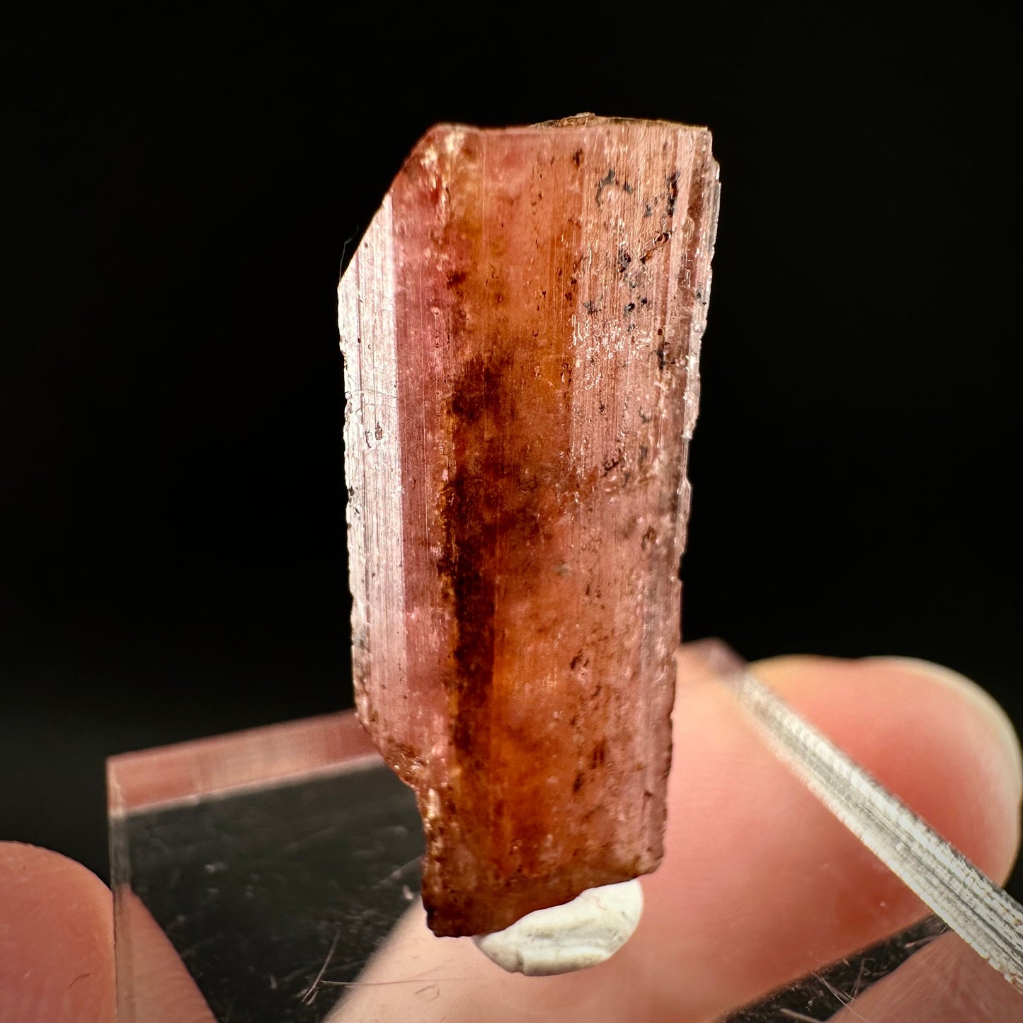 Rare! Vayrynenite (Pakistan) | vayrynenite crystal, rare crystals, mineral specimen, rare minerals, natural vayrynenite