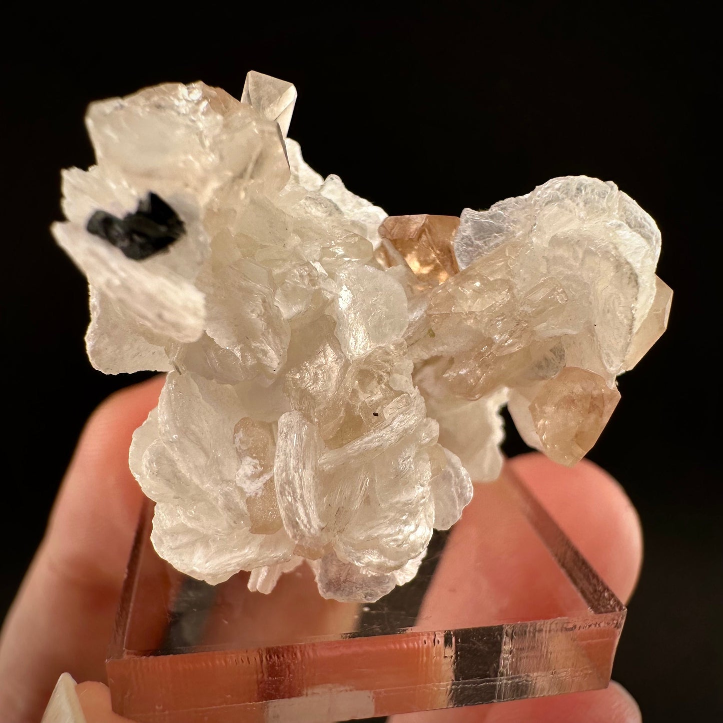 Champagne Topaz on Albite Matrix (Pakistan) | topaz crystal, rare crystals, mineral specimen, rare minerals, natural topaz, golden topaz