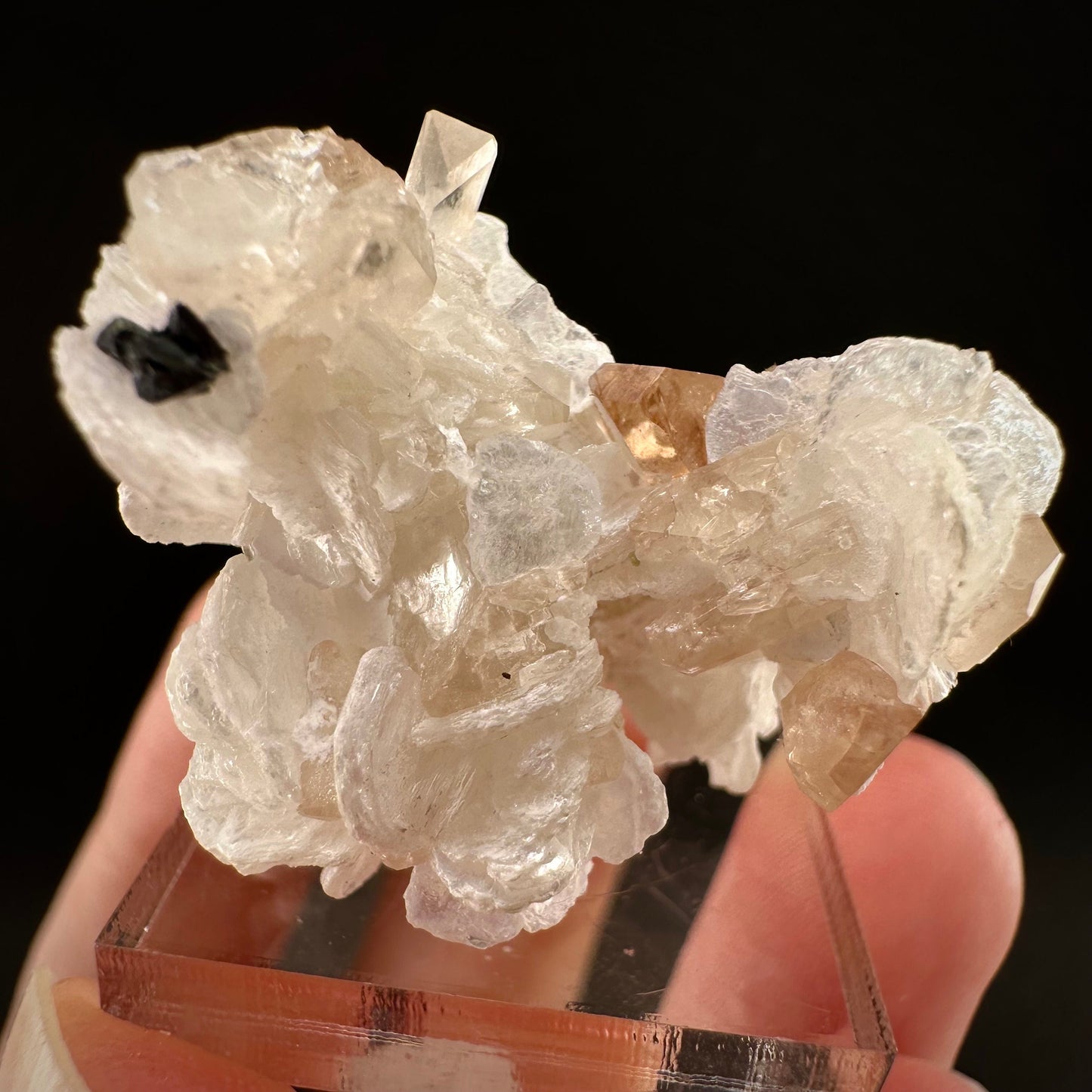 Champagne Topaz on Albite Matrix (Pakistan) | topaz crystal, rare crystals, mineral specimen, rare minerals, natural topaz, golden topaz