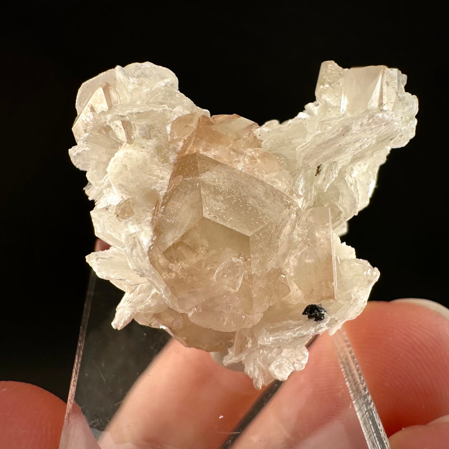 Champagne Topaz on Albite Matrix (Pakistan) | topaz crystal, rare crystals, mineral specimen, rare minerals, natural topaz, golden topaz