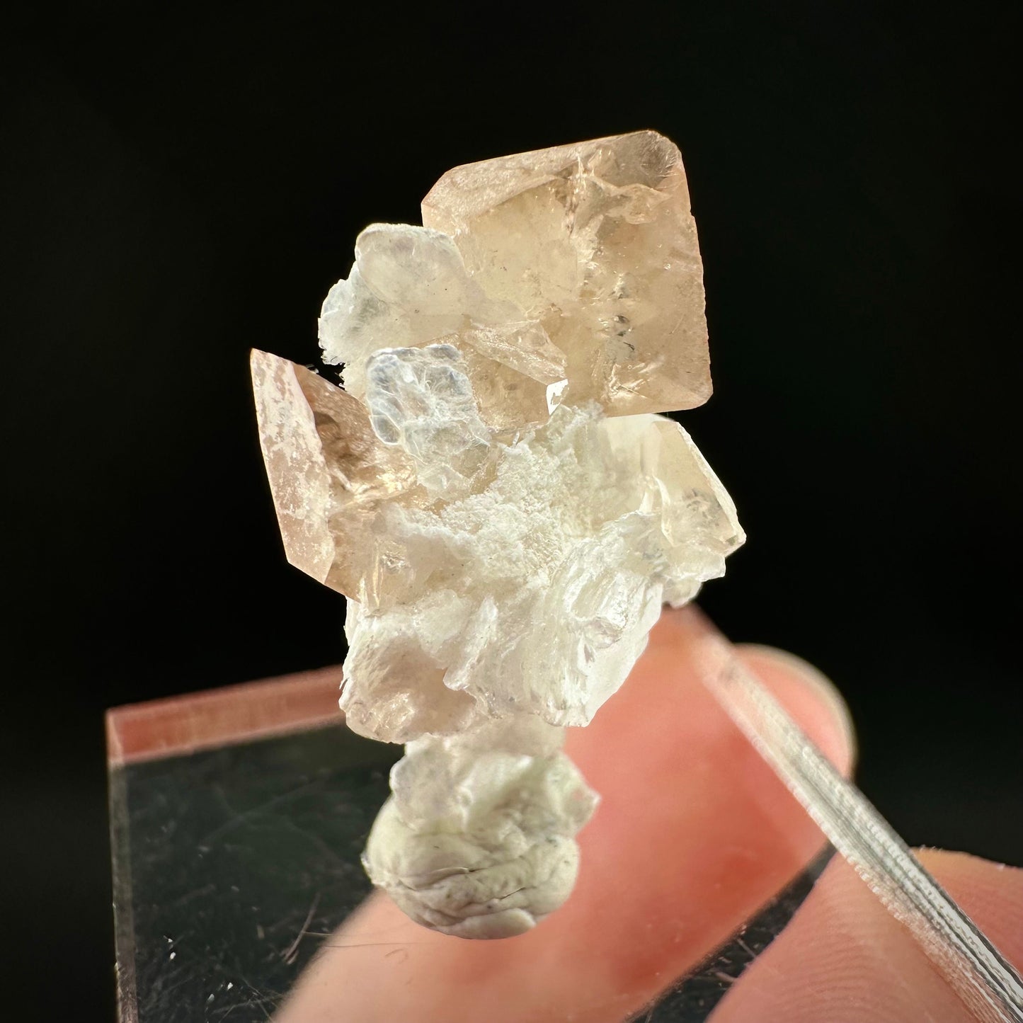 Champagne Topaz on Albite Matrix (Pakistan) | topaz crystal, rare crystals, mineral specimen, rare minerals, natural topaz, golden topaz