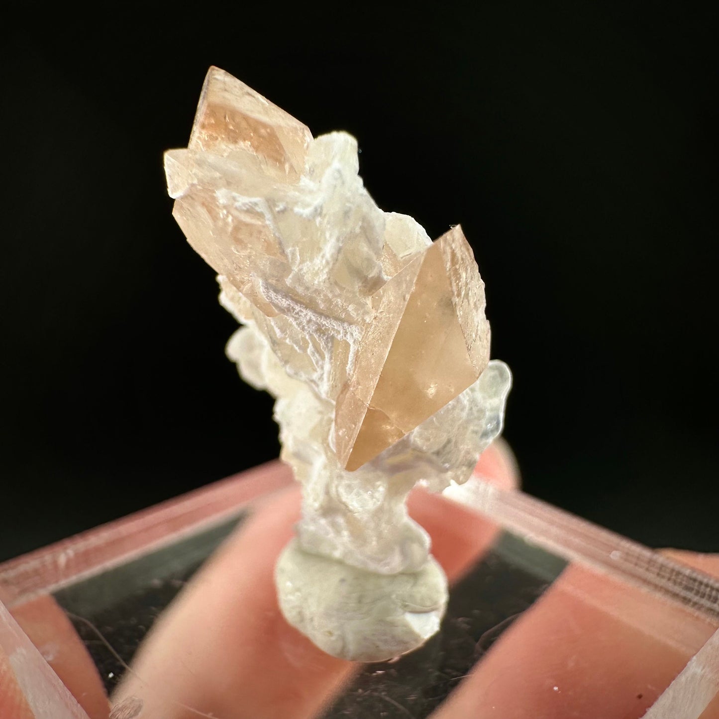 Champagne Topaz on Albite Matrix (Pakistan) | topaz crystal, rare crystals, mineral specimen, rare minerals, natural topaz, golden topaz