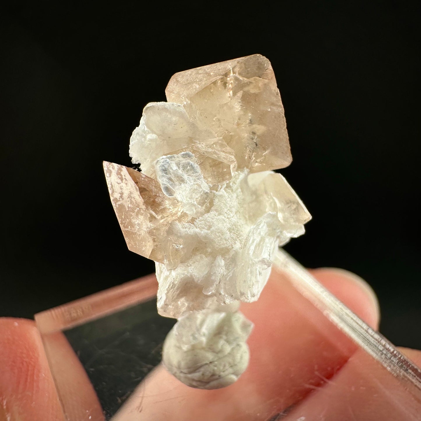 Champagne Topaz on Albite Matrix (Pakistan) | topaz crystal, rare crystals, mineral specimen, rare minerals, natural topaz, golden topaz
