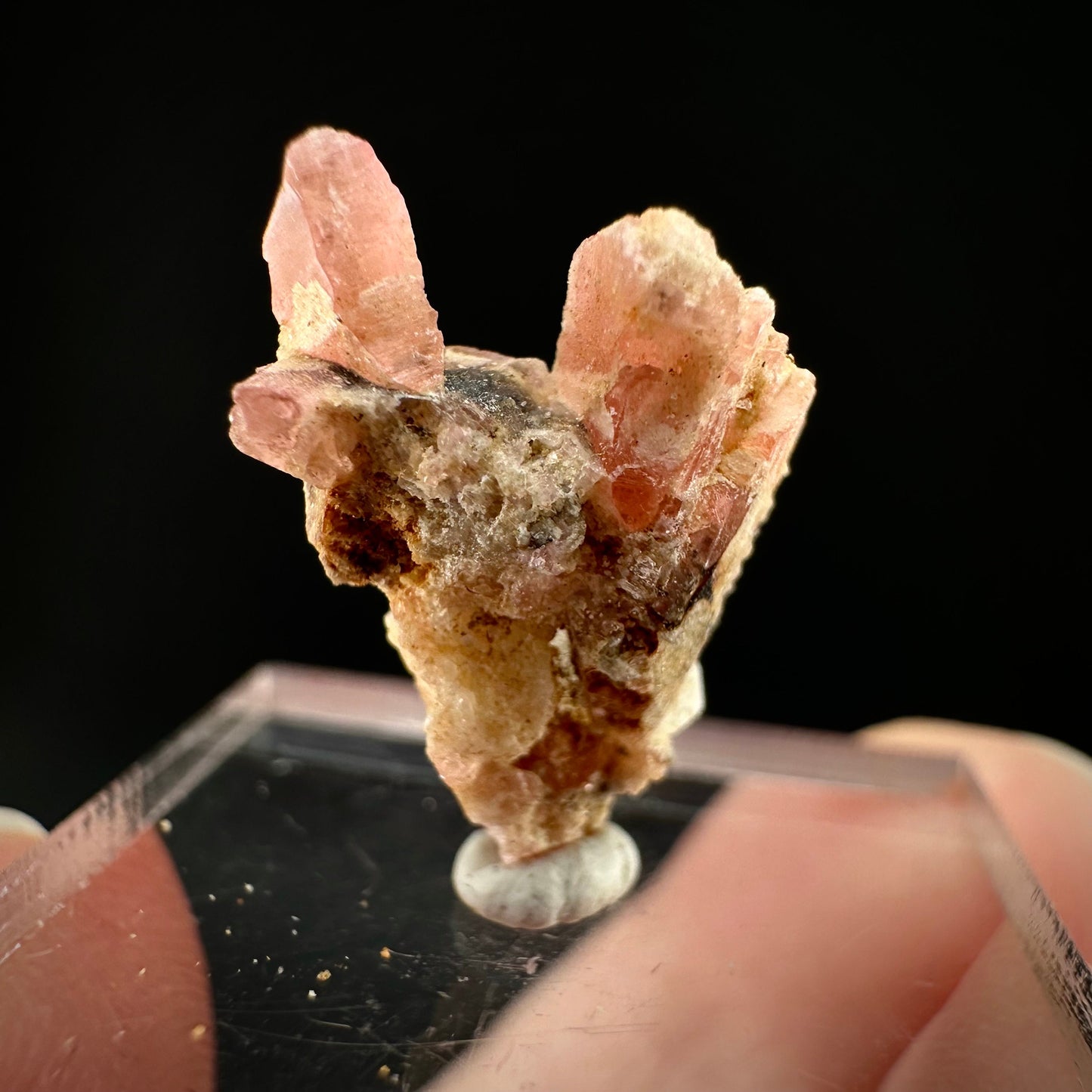 Rare! Vayrynenite with Quartz (Pakistan) | vayrynenite crystal, rare crystals, mineral specimen, rare minerals, natural vayrynenite