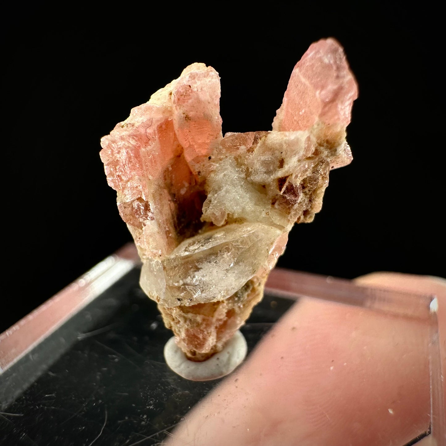 Rare! Vayrynenite with Quartz (Pakistan) | vayrynenite crystal, rare crystals, mineral specimen, rare minerals, natural vayrynenite