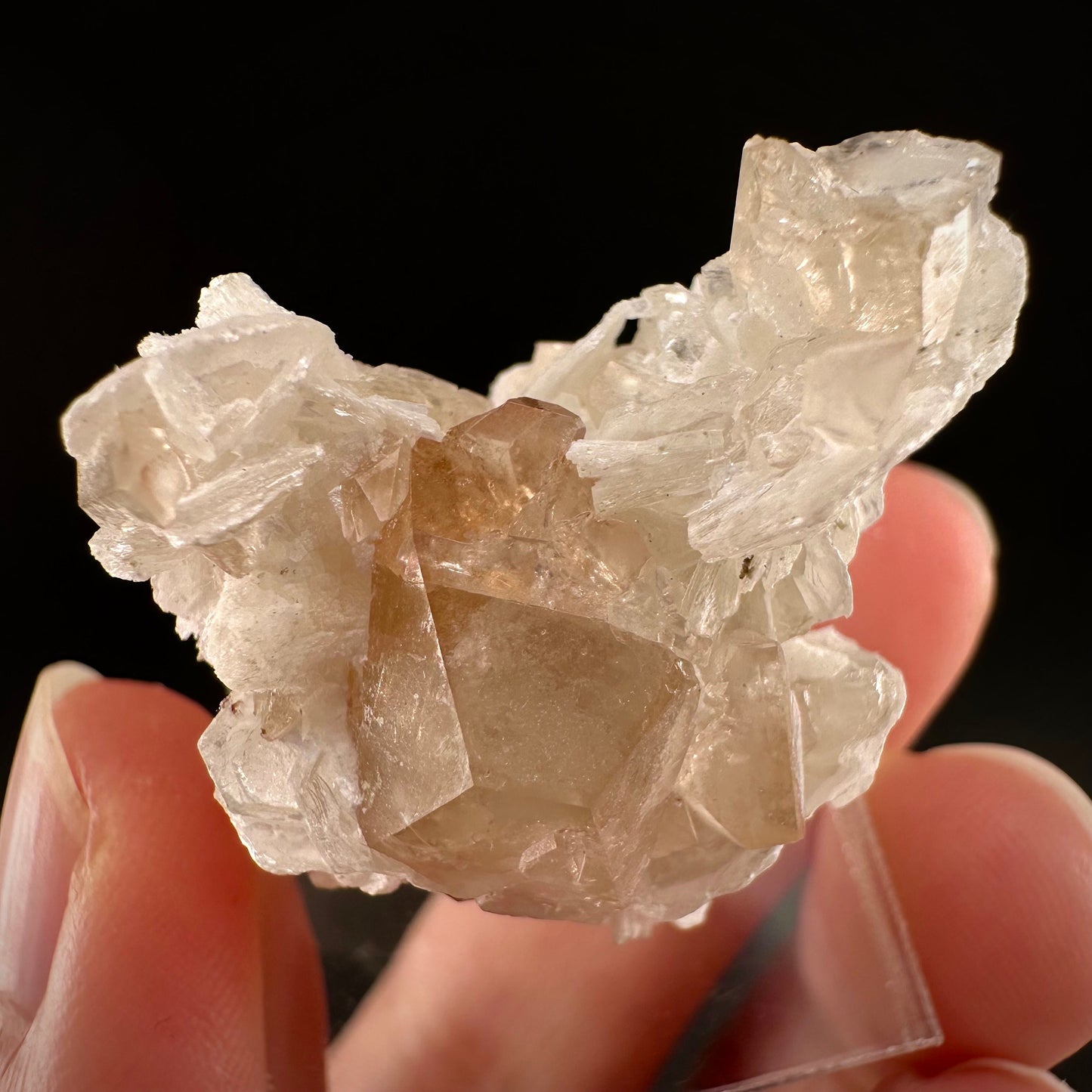 Champagne Topaz on Albite Matrix (Pakistan) | topaz crystal, rare crystals, mineral specimen, rare minerals, natural topaz, golden topaz