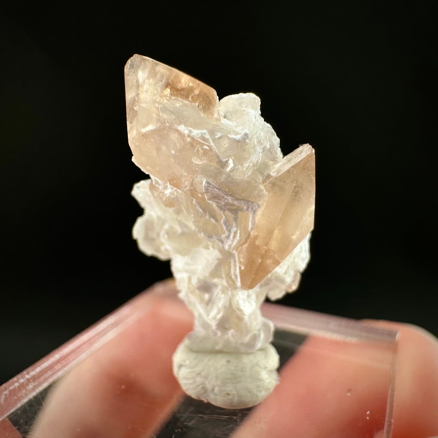 Champagne Topaz on Albite Matrix (Pakistan) | topaz crystal, rare crystals, mineral specimen, rare minerals, natural topaz, golden topaz
