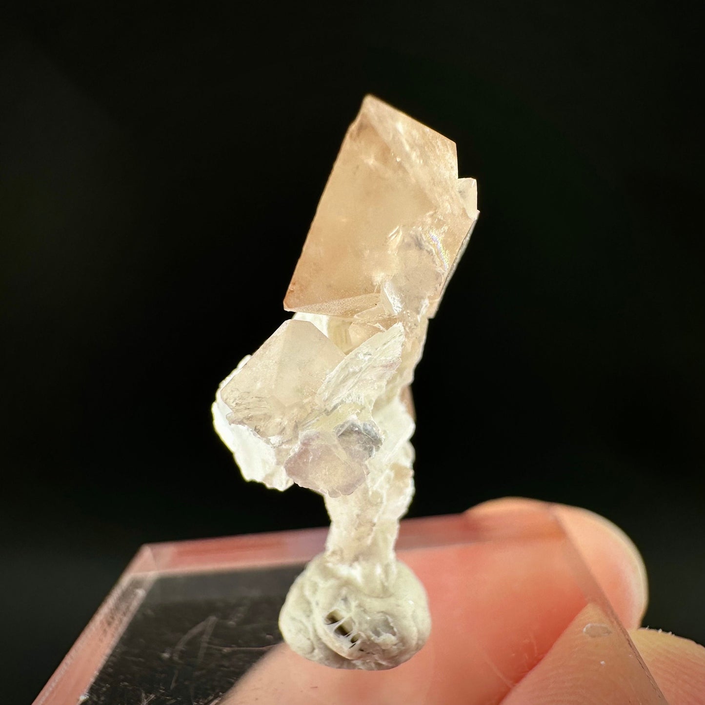 Champagne Topaz on Albite Matrix (Pakistan) | topaz crystal, rare crystals, mineral specimen, rare minerals, natural topaz, golden topaz