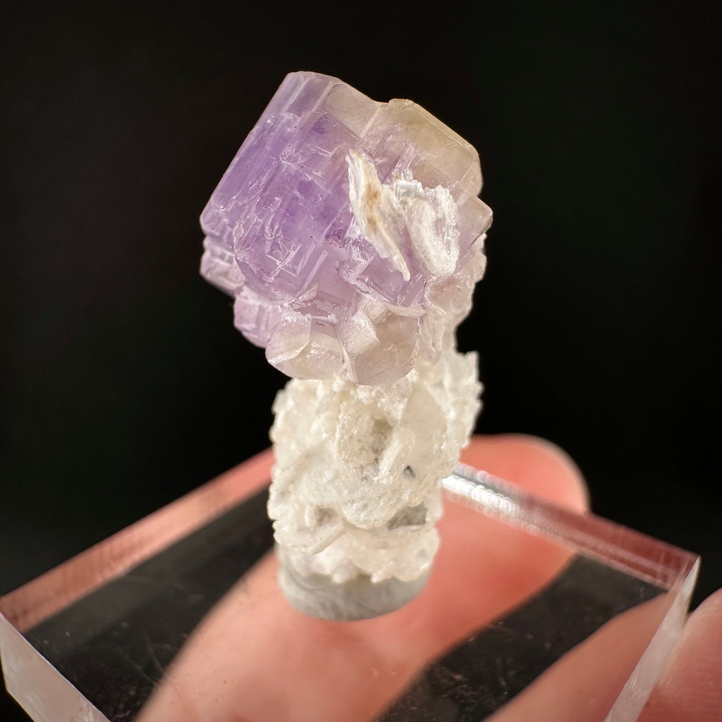 Purple Fluorapatite on Albite (Afghanistan), natural purple apatite, terminated apatite crystal, mineral specimen, rare gems, fluorapatite