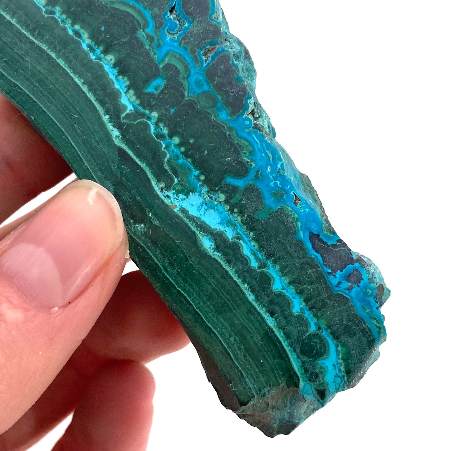 Malachite & Chrysocolla Slice (Congo), natural malachite, malachite slice, malachite slab, malacolla slice, polished malachite