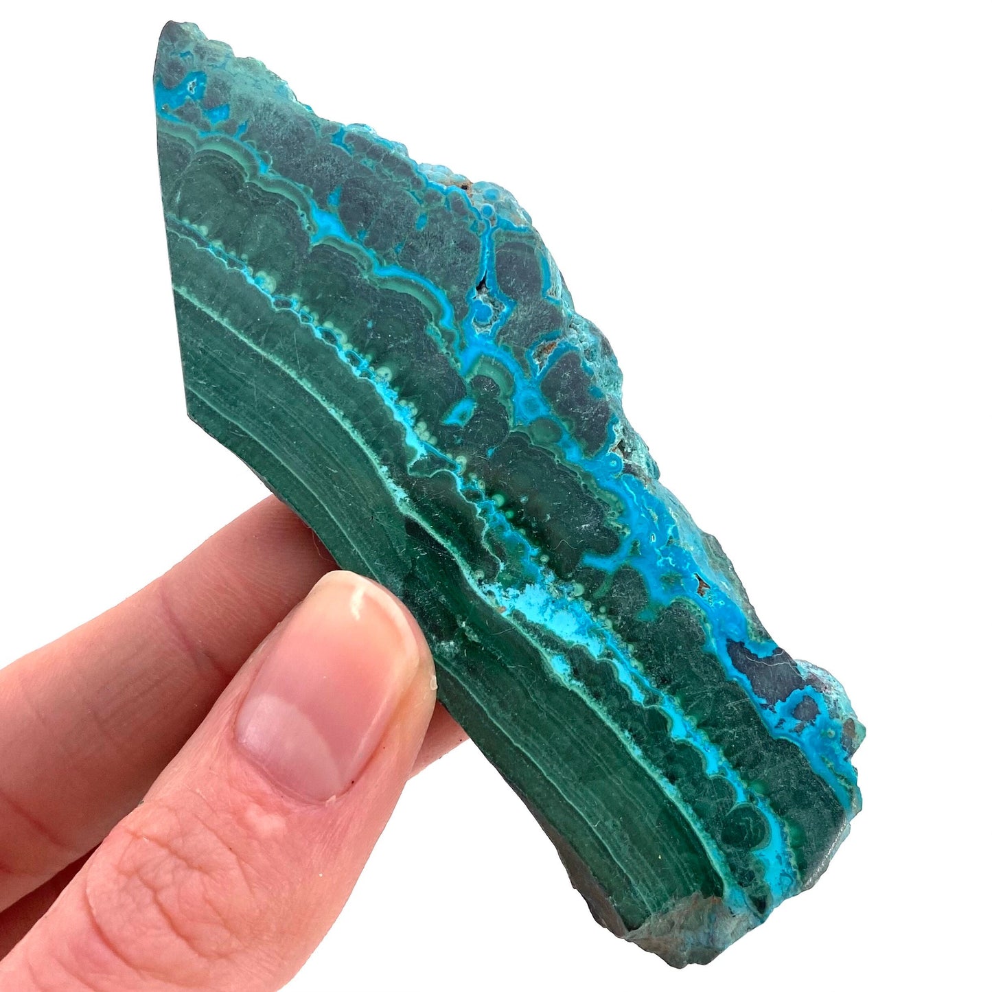 Malachite & Chrysocolla Slice (Congo), natural malachite, malachite slice, malachite slab, malacolla slice, polished malachite