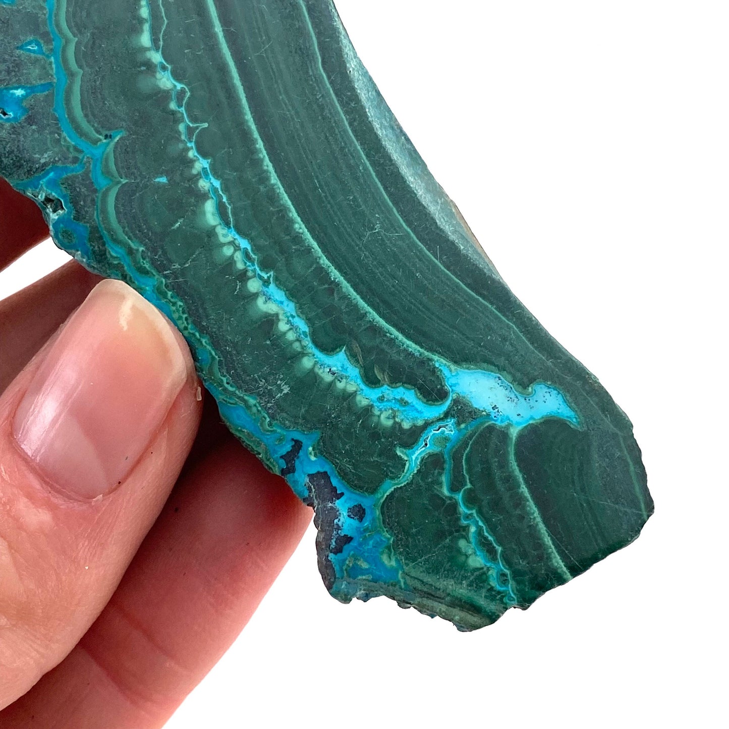 Malachite & Chrysocolla Slice (Congo), natural malachite, malachite slice, malachite slab, malacolla slice, polished malachite