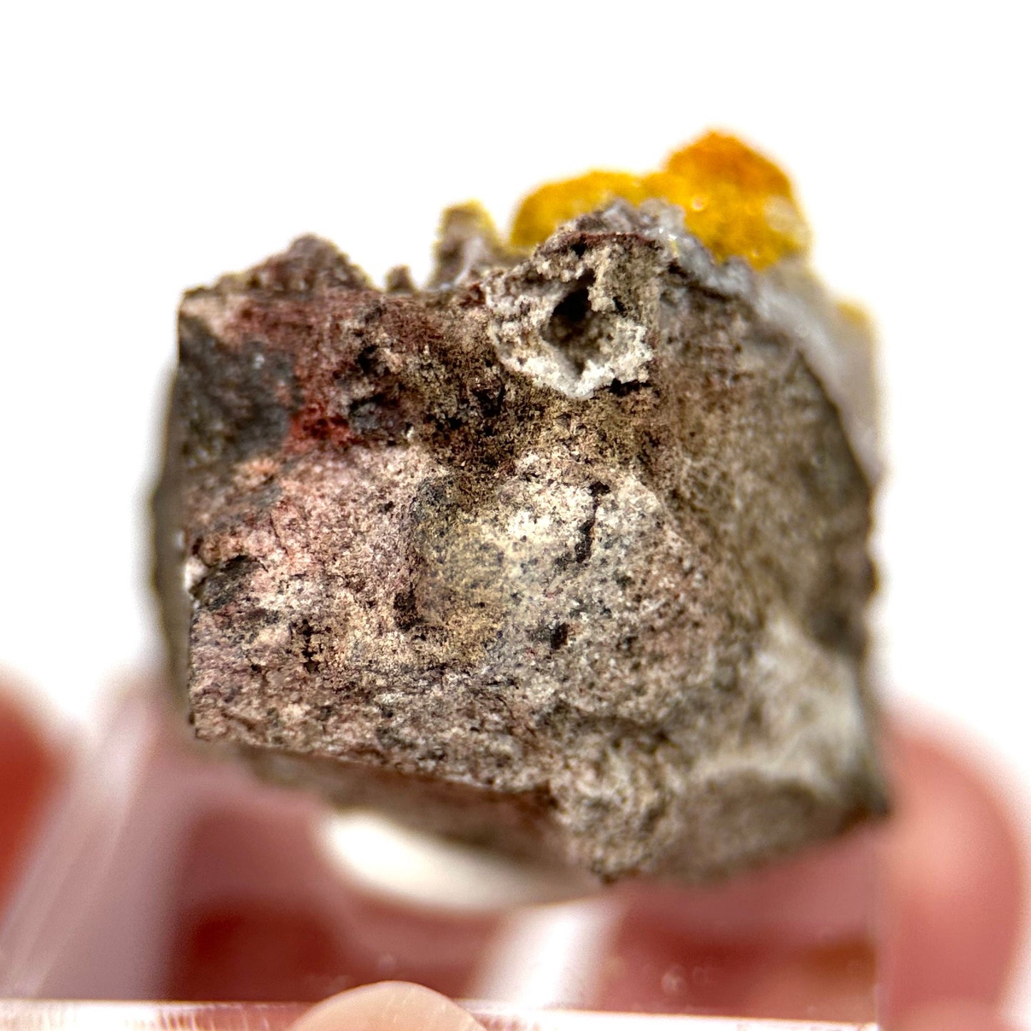Mimetite (Mexico), yellow mimetite, mimetite on matrix, mimetite, mineral specimen