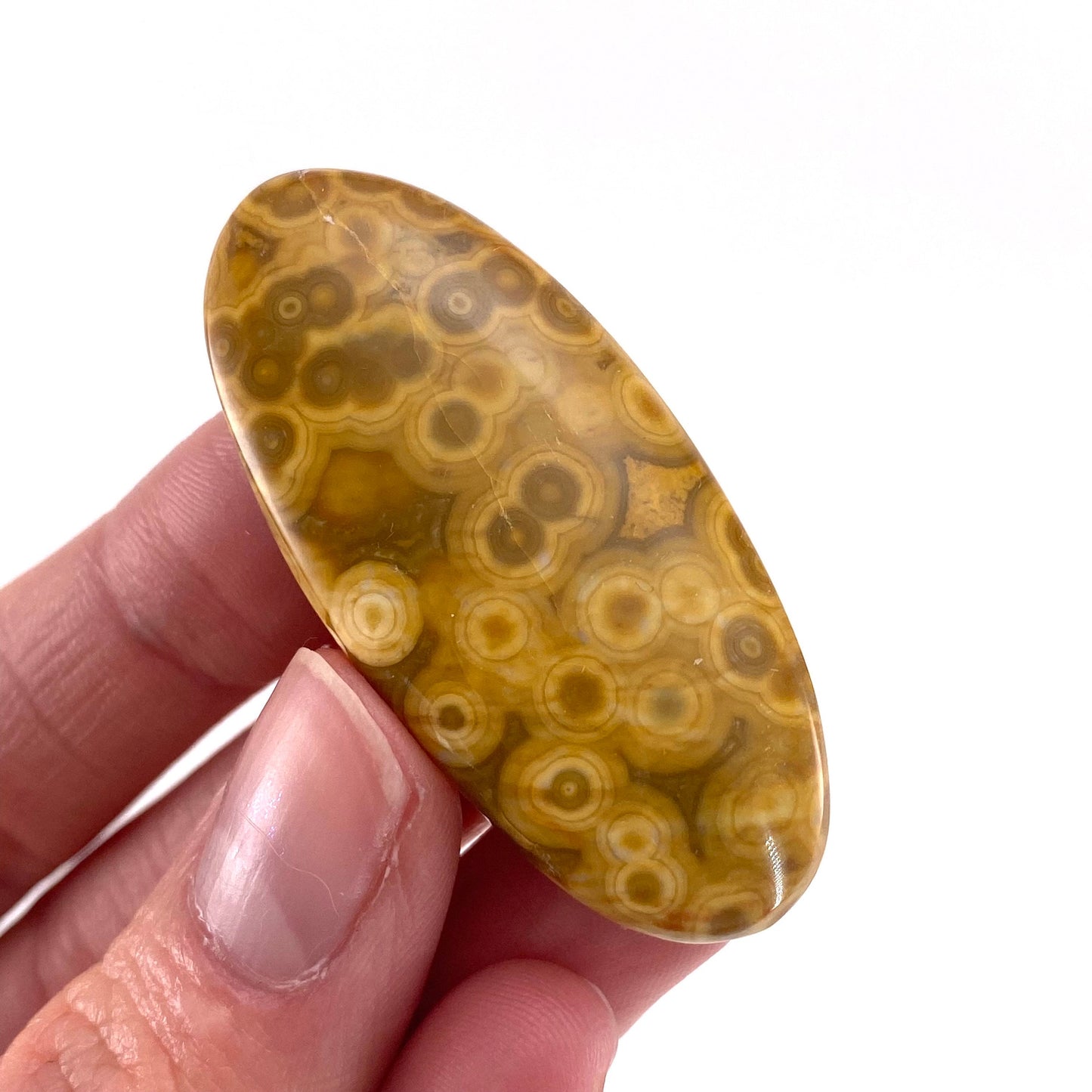 Ocean Jasper Cabochon, crystal cabochon, ocean jasper, gemstone cabochon, orbicular jasper, orbicular jasper cabochon