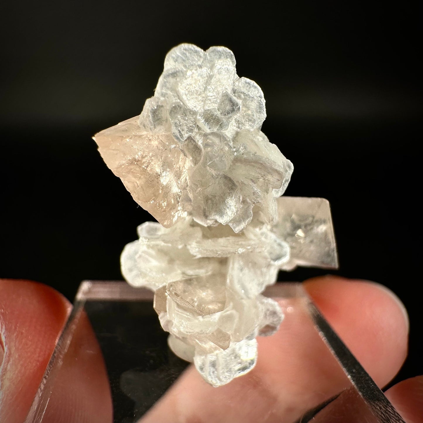 Champagne Topaz on Albite Matrix (Pakistan) | topaz crystal, rare crystals, mineral specimen, rare minerals, natural topaz, golden topaz
