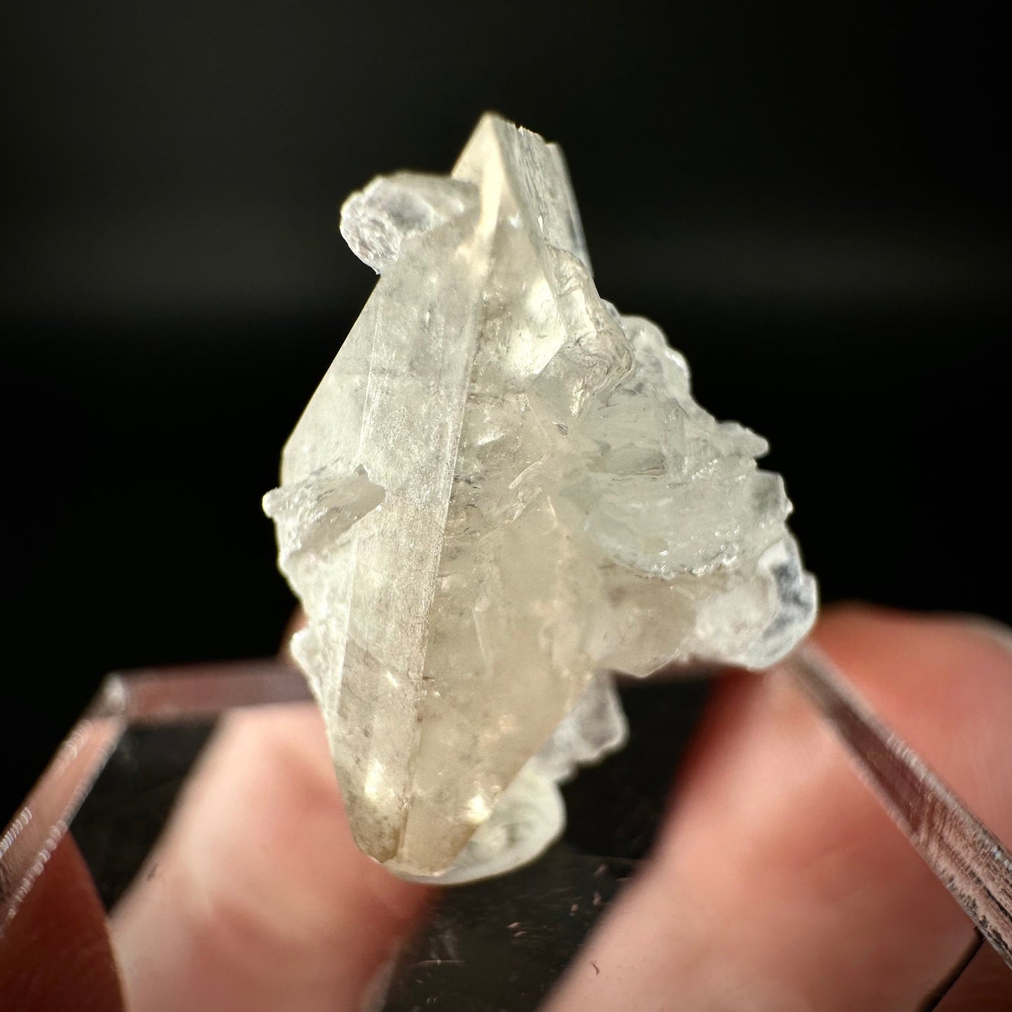 Champagne Topaz on Albite Matrix (Pakistan) | topaz crystal, rare crystals, mineral specimen, rare minerals, natural topaz, golden topaz