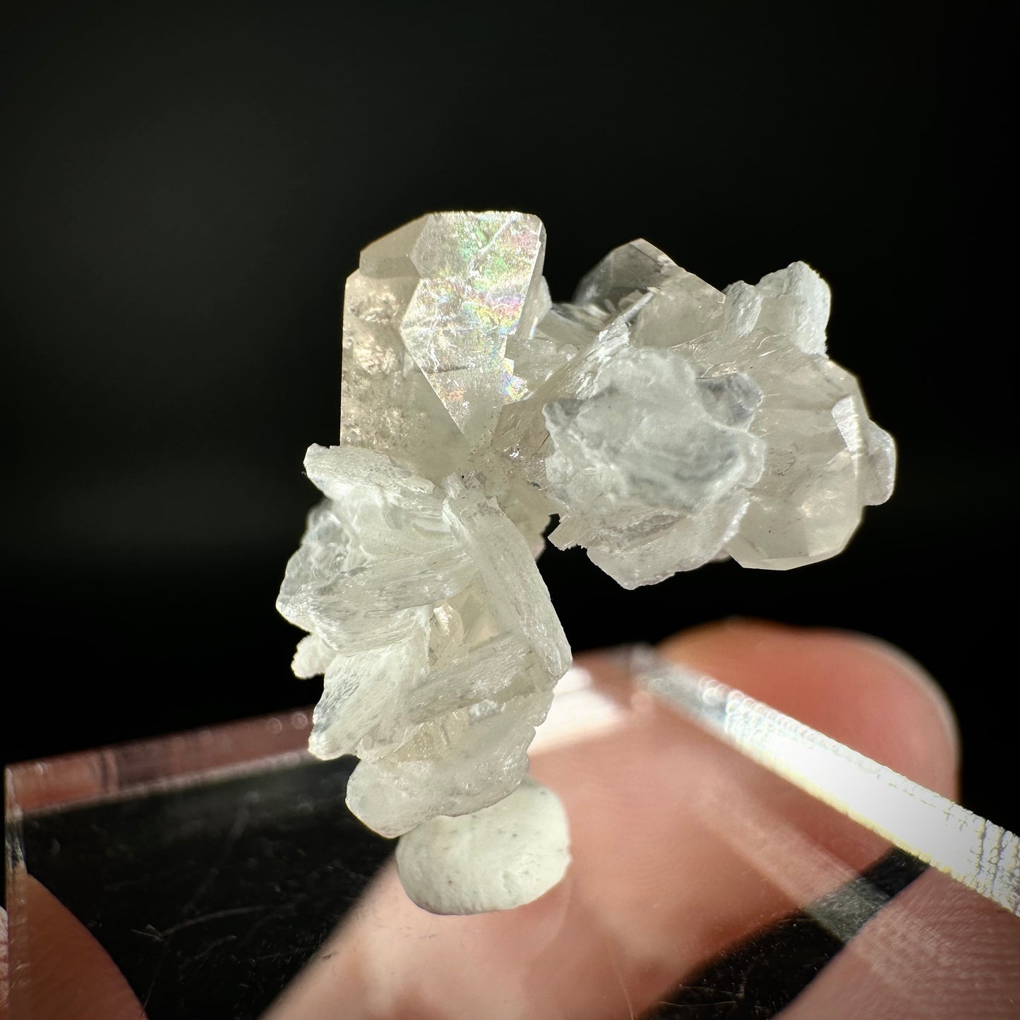 Champagne Topaz on Albite Matrix (Pakistan) | topaz crystal, rare crystals, mineral specimen, rare minerals, natural topaz, golden topaz