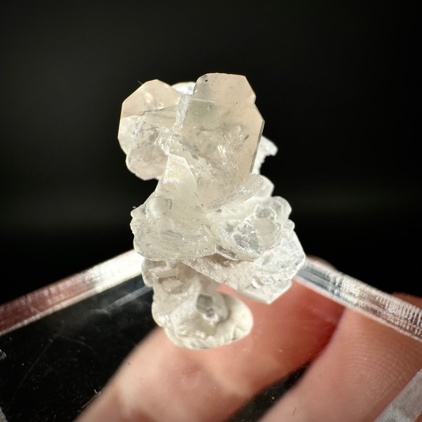 Champagne Topaz on Albite Matrix (Pakistan) | topaz crystal, rare crystals, mineral specimen, rare minerals, natural topaz, golden topaz