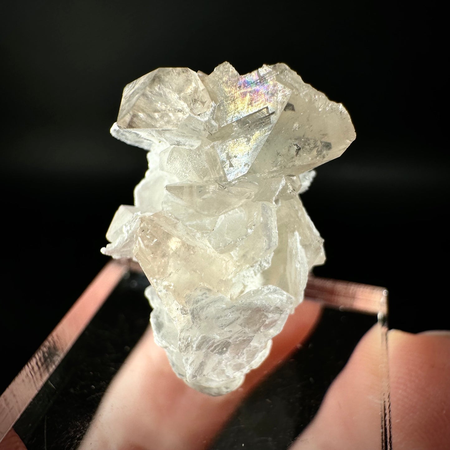Champagne Topaz on Albite Matrix (Pakistan) | topaz crystal, rare crystals, mineral specimen, rare minerals, natural topaz, golden topaz