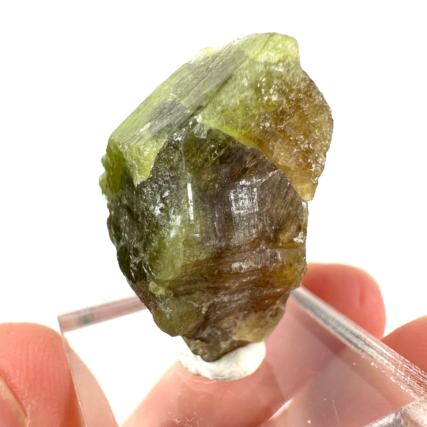 Andradite-Grossular Garnet (Mali) | green garnet, raw garnet crystal, grossular garnet crystal, raw green garnet, mineral specimen, crystals