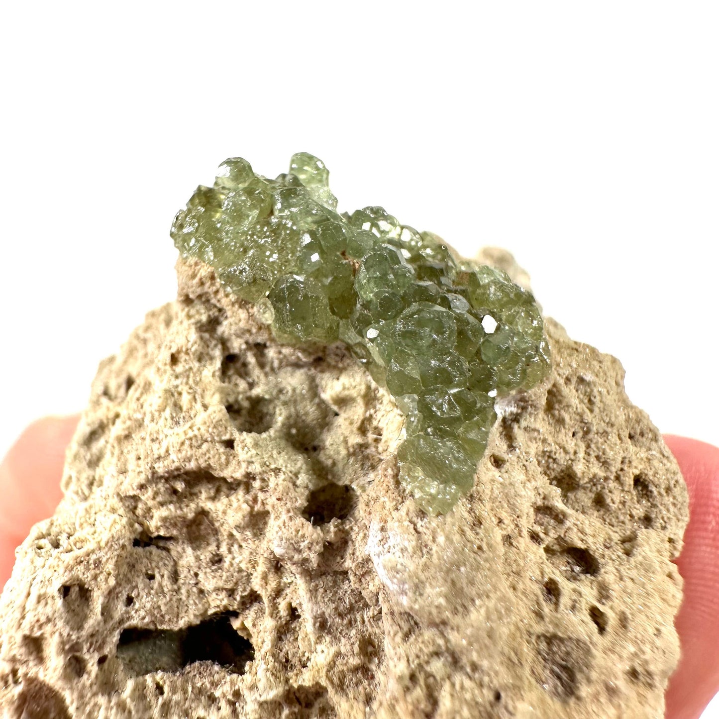 Demantoid Garnet on Matrix (Madagascar) | green garnet, rare minerals, demantoid garnet crystal, mineral specimen