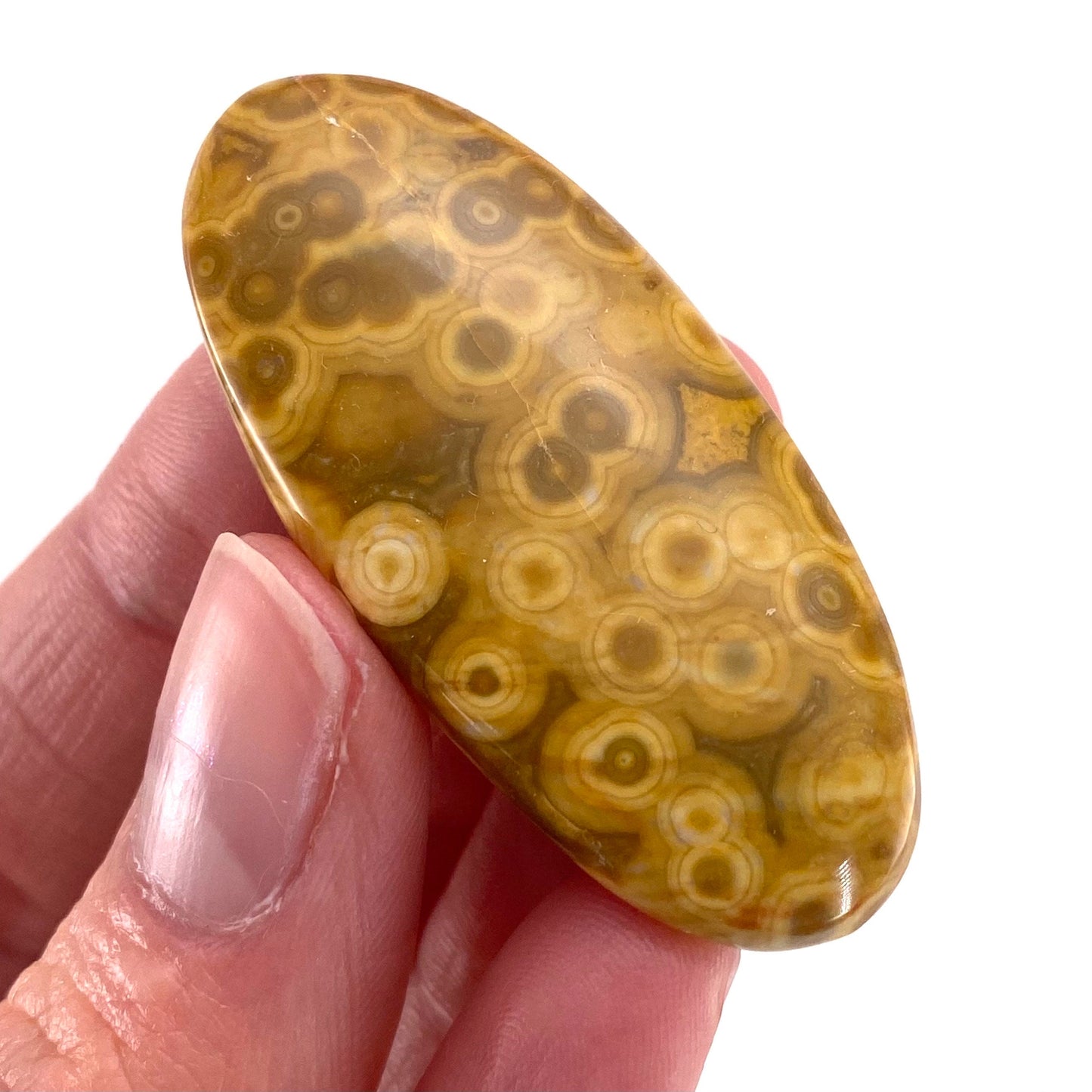 Ocean Jasper Cabochon, crystal cabochon, ocean jasper, gemstone cabochon, orbicular jasper, orbicular jasper cabochon