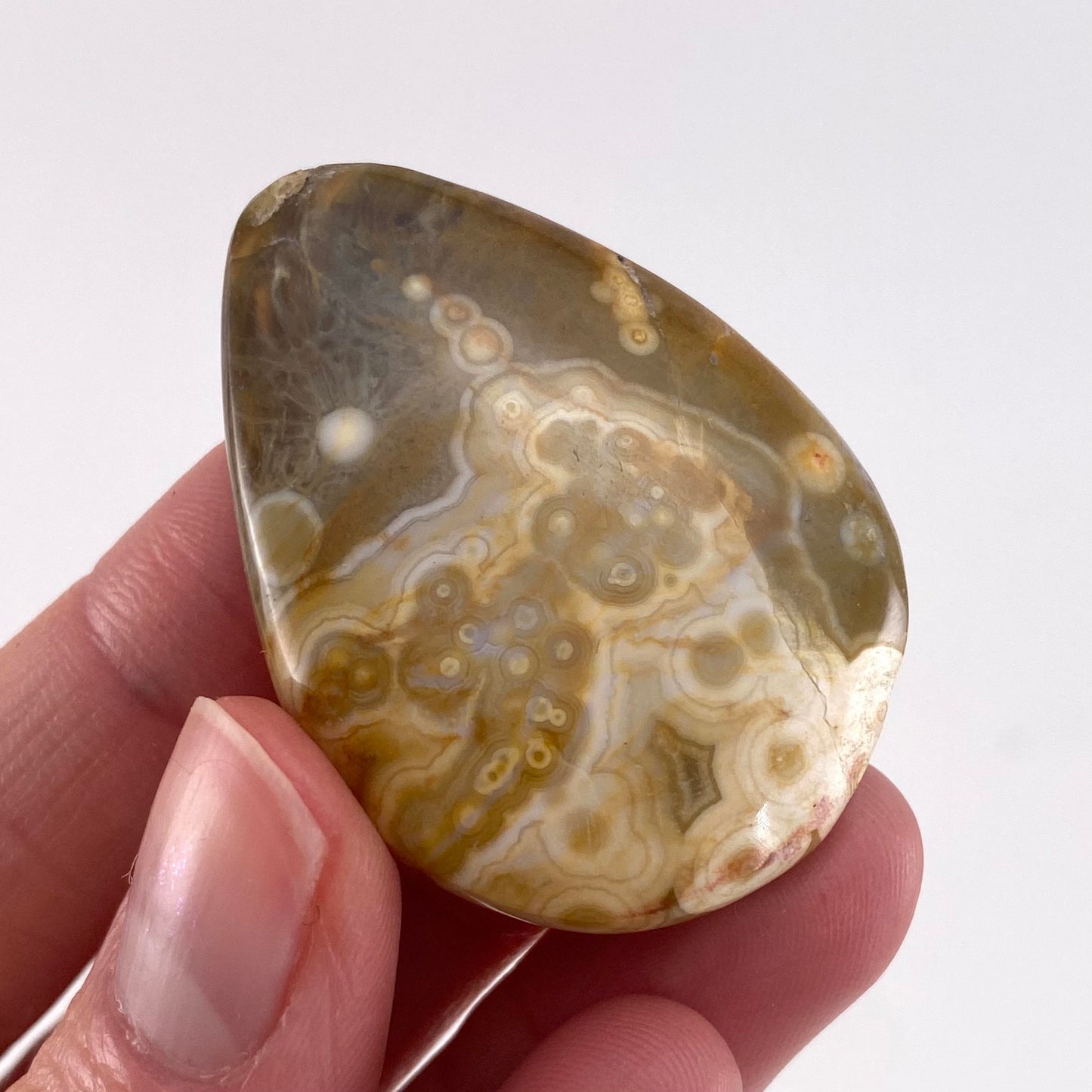 Ocean Jasper Cabochon, crystal cabochon, ocean jasper, gemstone cabochon, orbicular jasper, orbicular jasper cabochon
