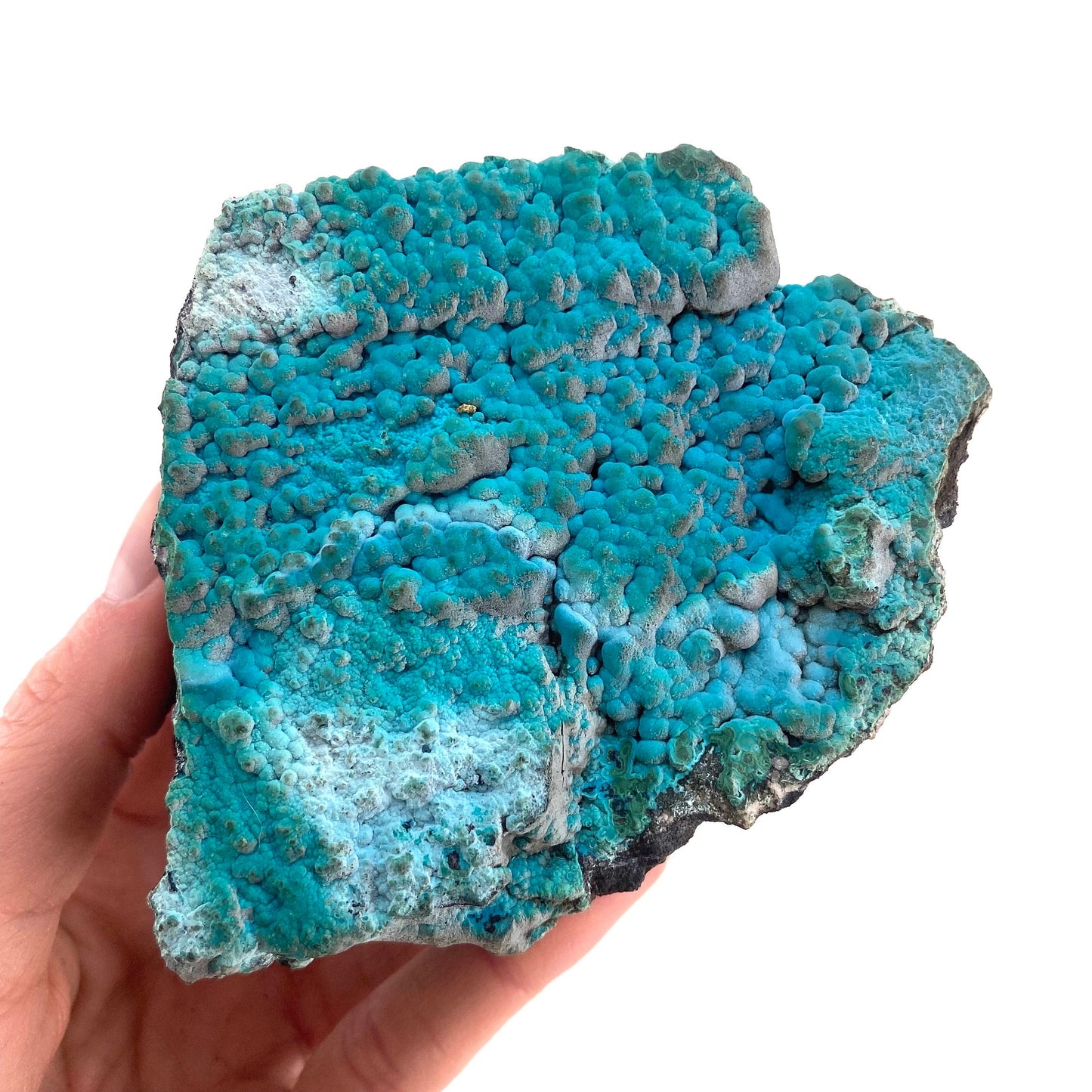 Botryoidal Chrysocolla on Malachite Specimen (Congo), raw chrysocolla, raw malachite, mineral specimen