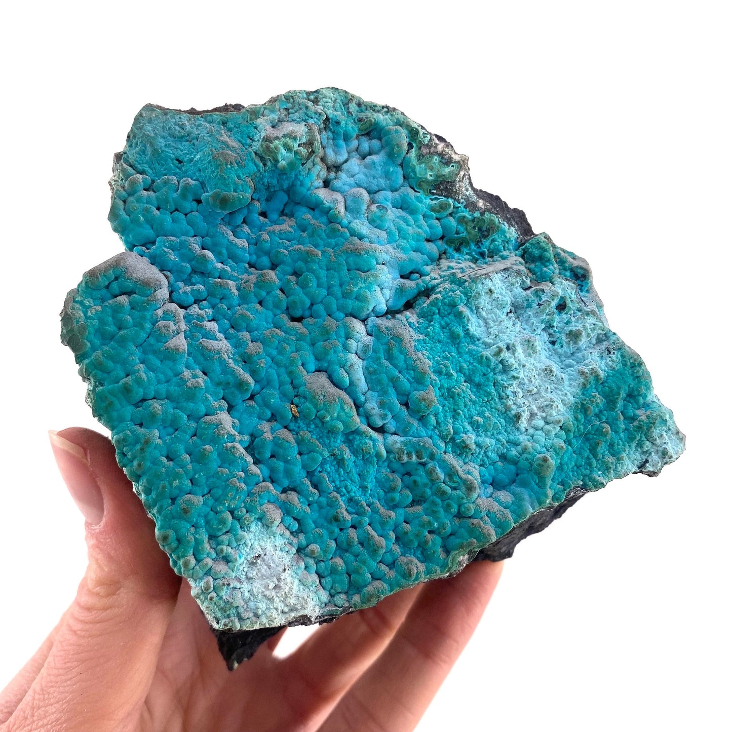 Botryoidal Chrysocolla on Malachite Specimen (Congo), raw chrysocolla, raw malachite, mineral specimen